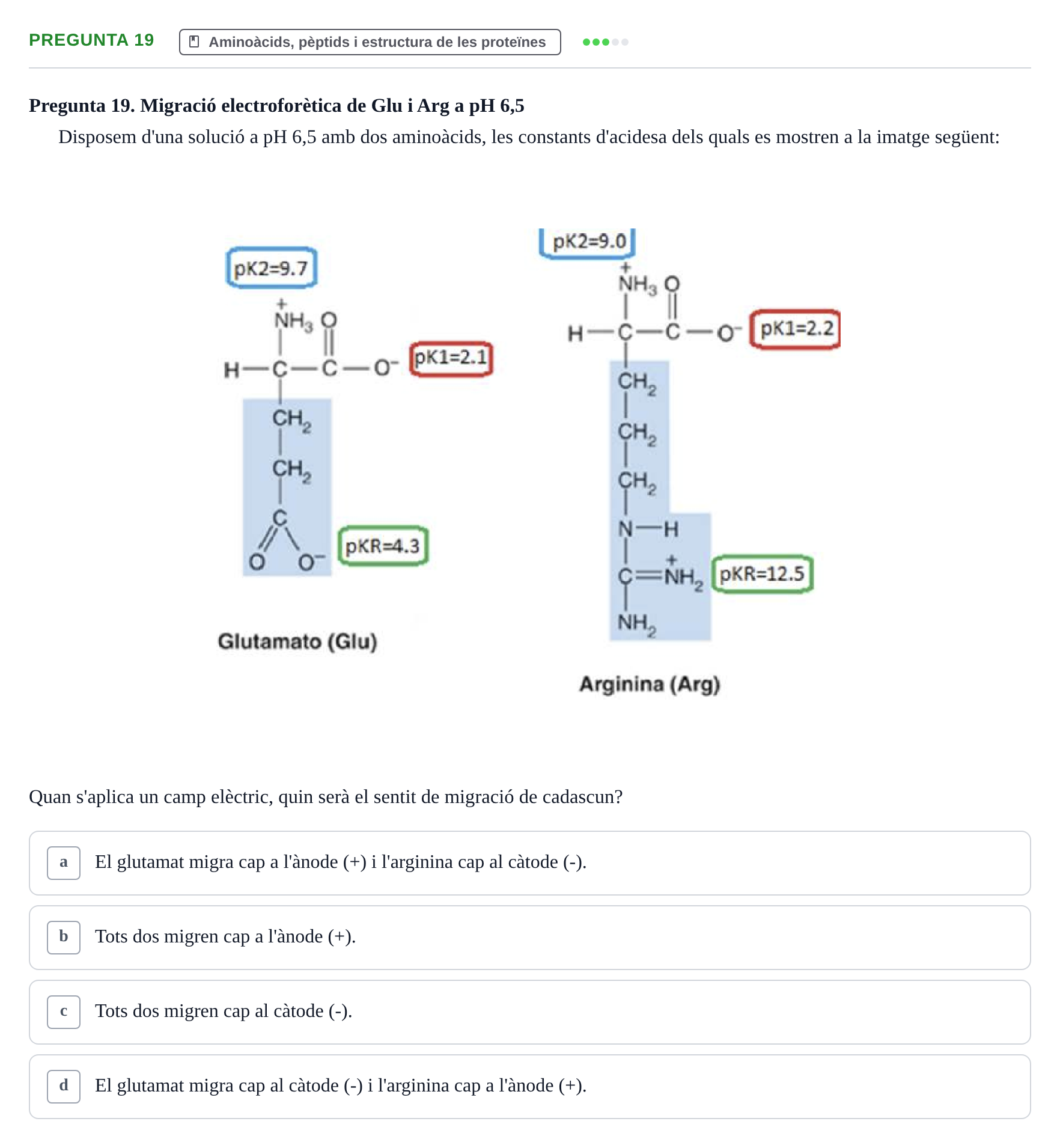 Enunciado: Pregunta 19 · Biología URV Avaluació Tipus Test: Estructura Bioquímica i Biomolècules