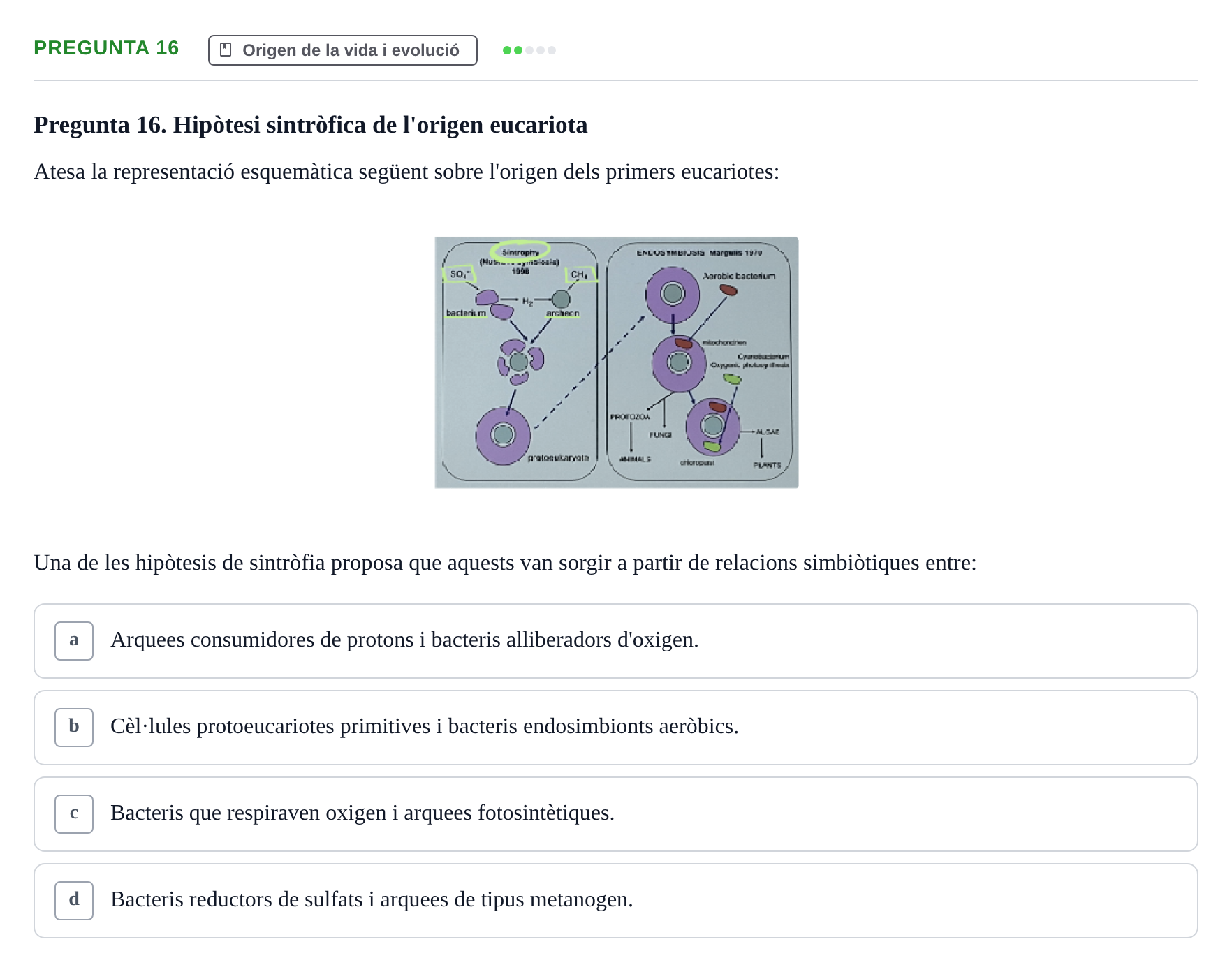 Enunciado: Pregunta 16 · Biología URV Examen de Biologia