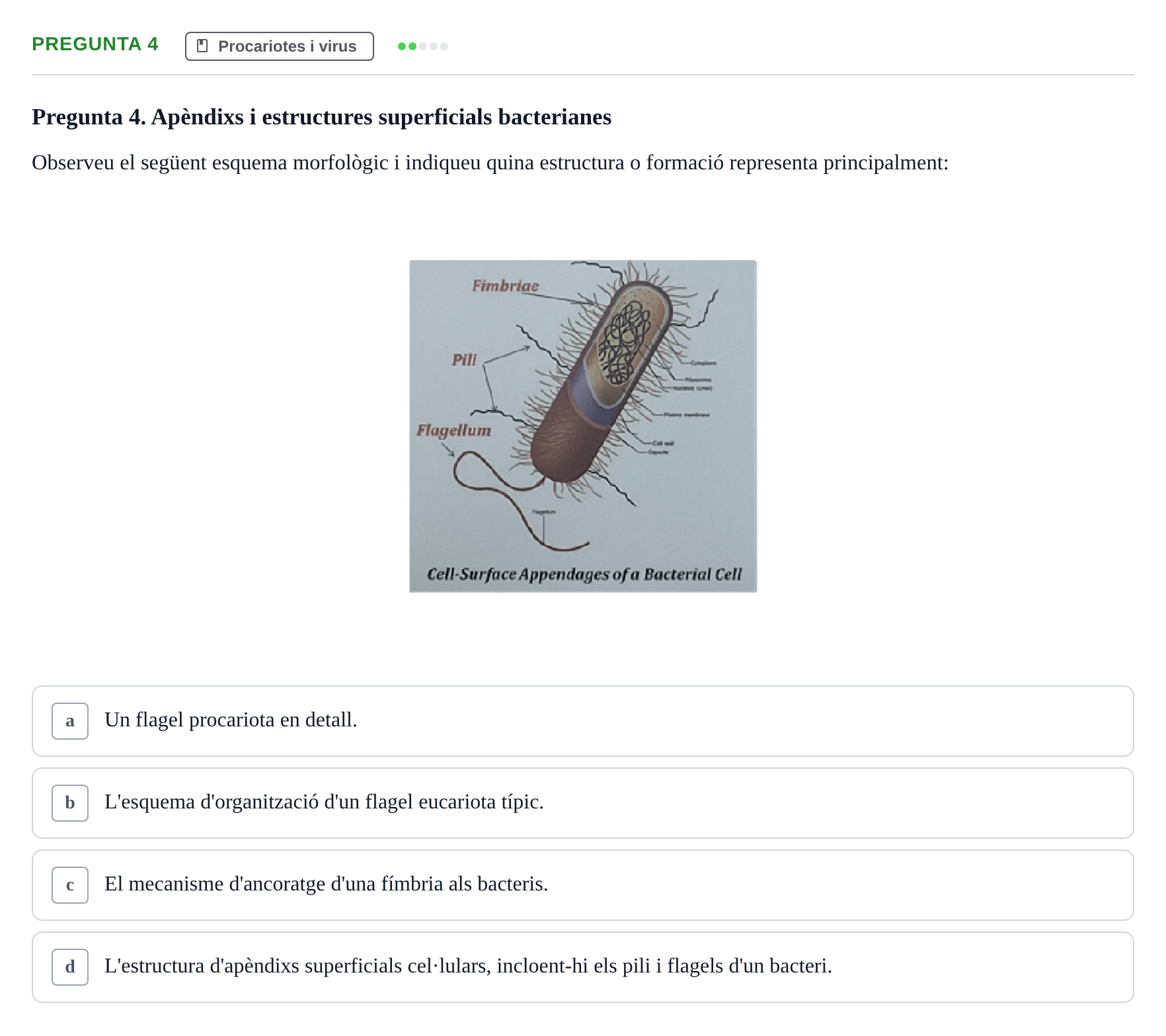 Enunciado: Pregunta 4 · Biología URV Examen de Biologia