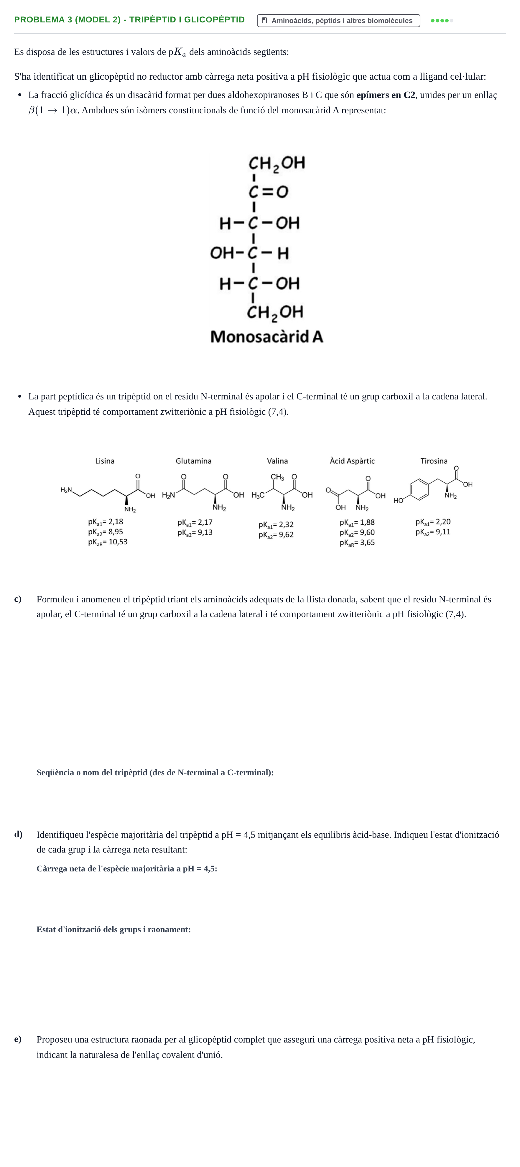 Enunciado: Problema 3 (Model 2) - Tripèptid i glicopèptid · Química UB 2020