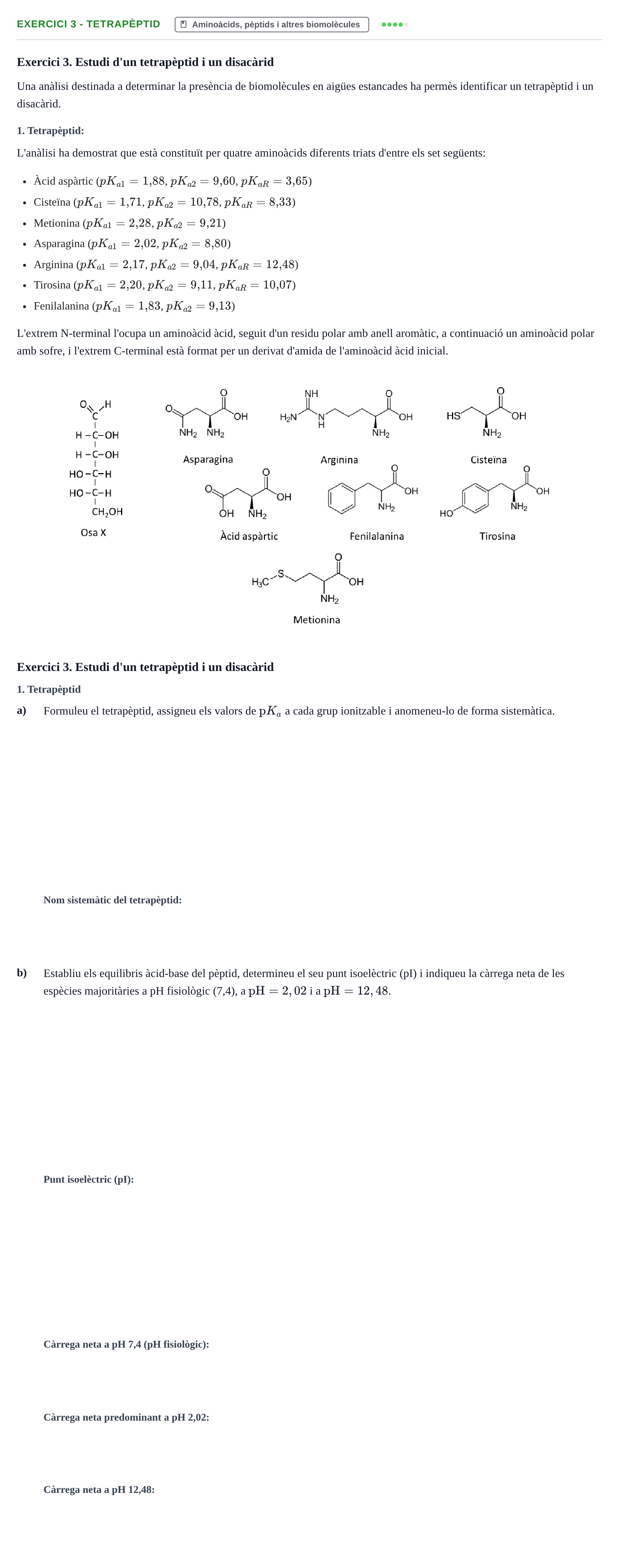 Enunciado: Exercici 3 - Tetrapèptid · Química UB 2023