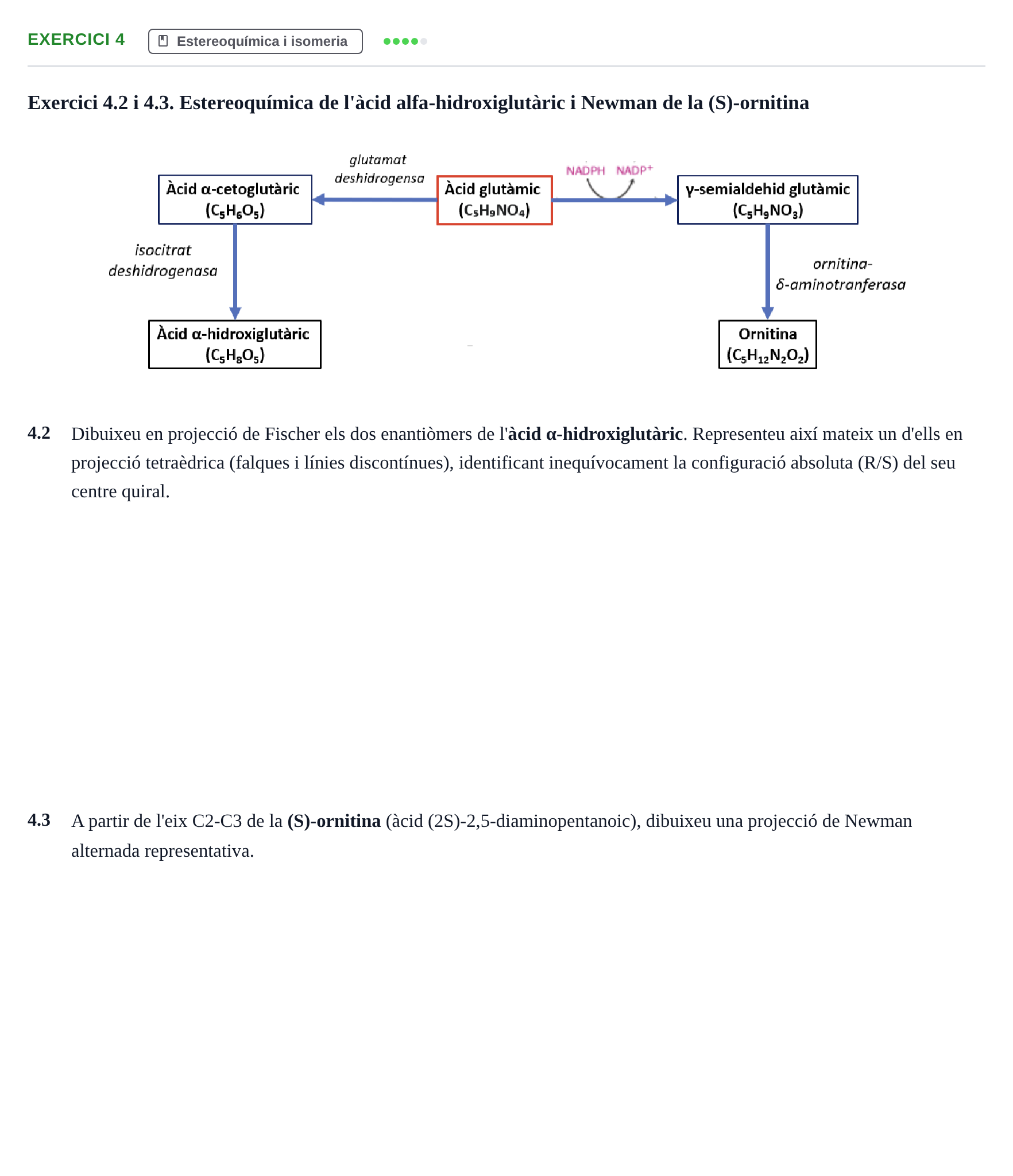 Enunciado: Exercici 4 · Química UB 2024