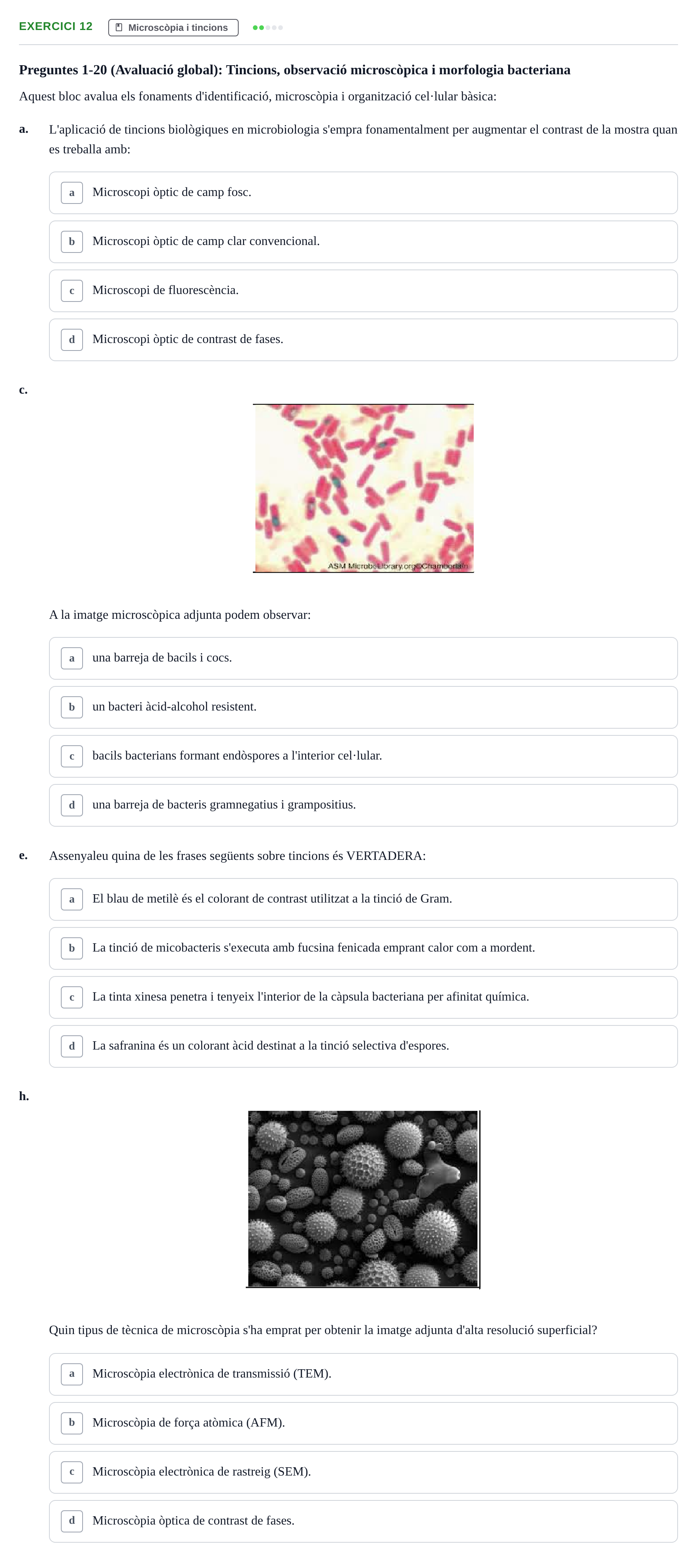 Enunciado: Ejercicio 12 - Microscòpia i tincions · Microbiología I UB Banc d'Avaluació Global de Microbiologia
