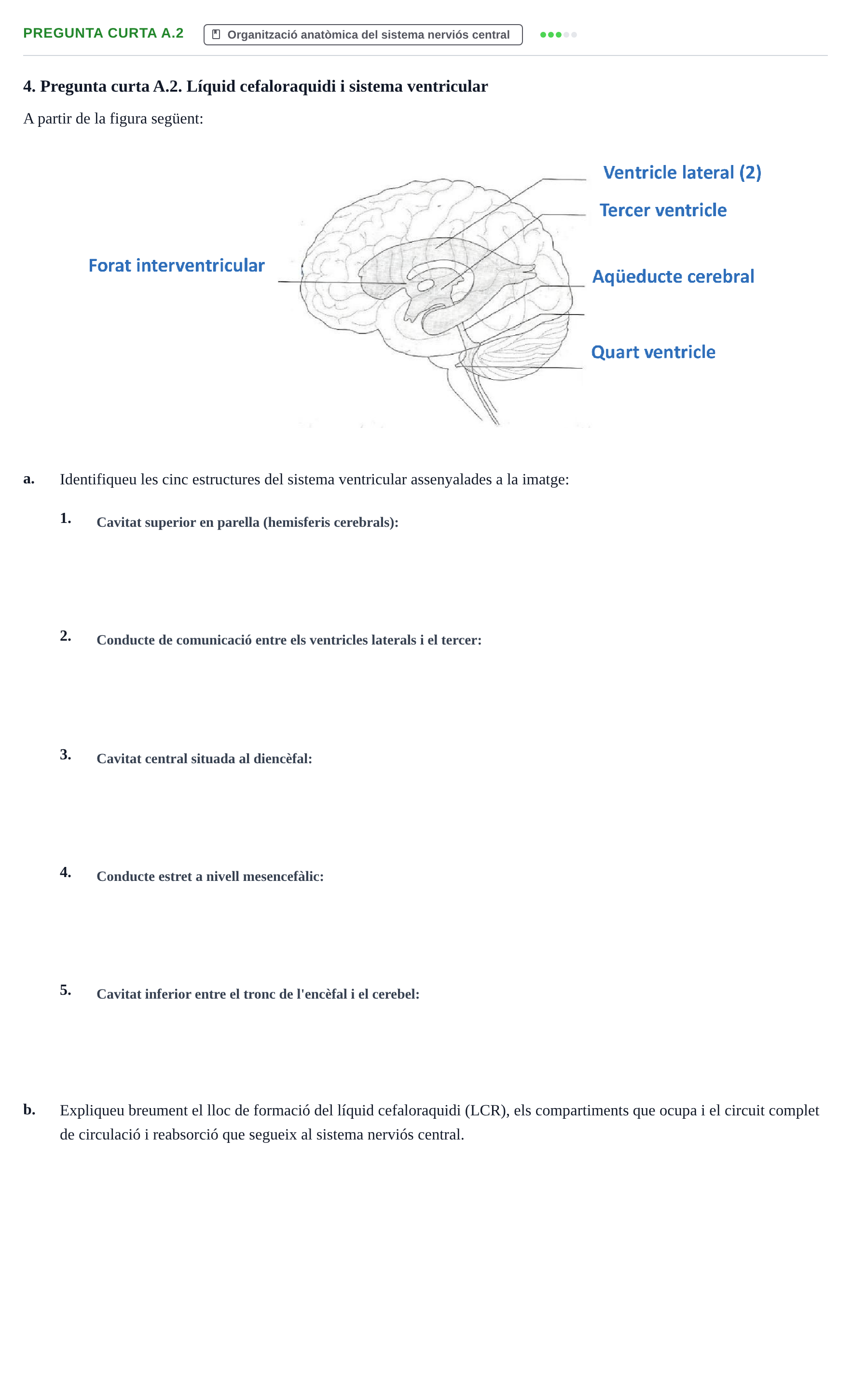 Enunciado: Pregunta curta A.2 · Fisiología y Fisiopatología I UB 2017