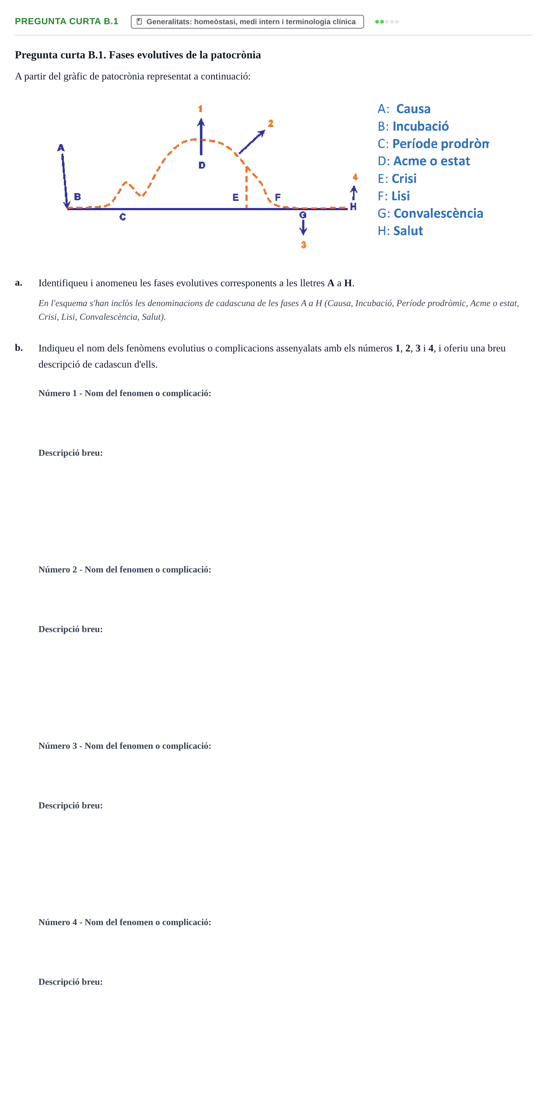 Enunciado: Pregunta curta B.1 · Fisiología y Fisiopatología I UB 2017