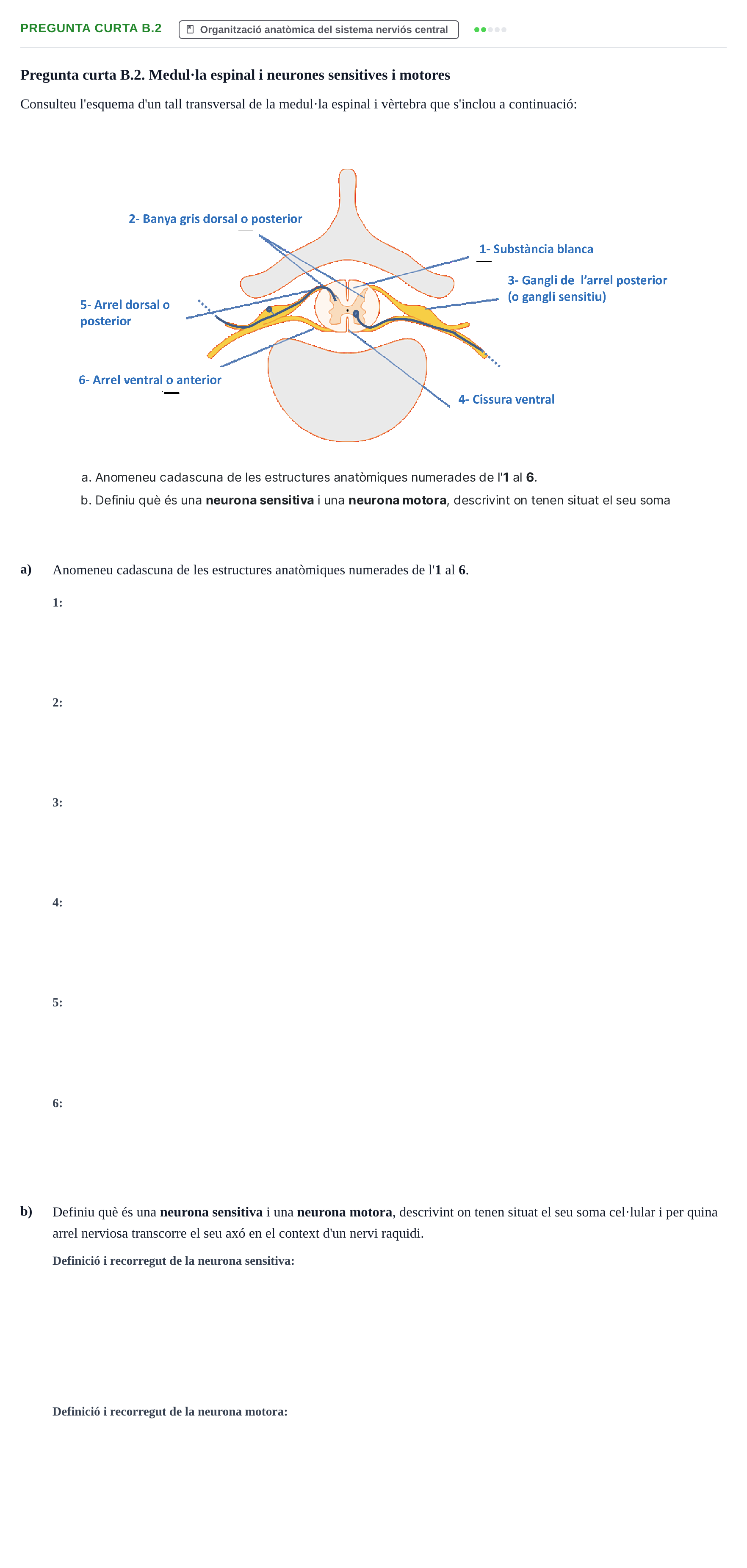 Enunciado: Pregunta curta B.2 · Fisiología y Fisiopatología I UB 2017