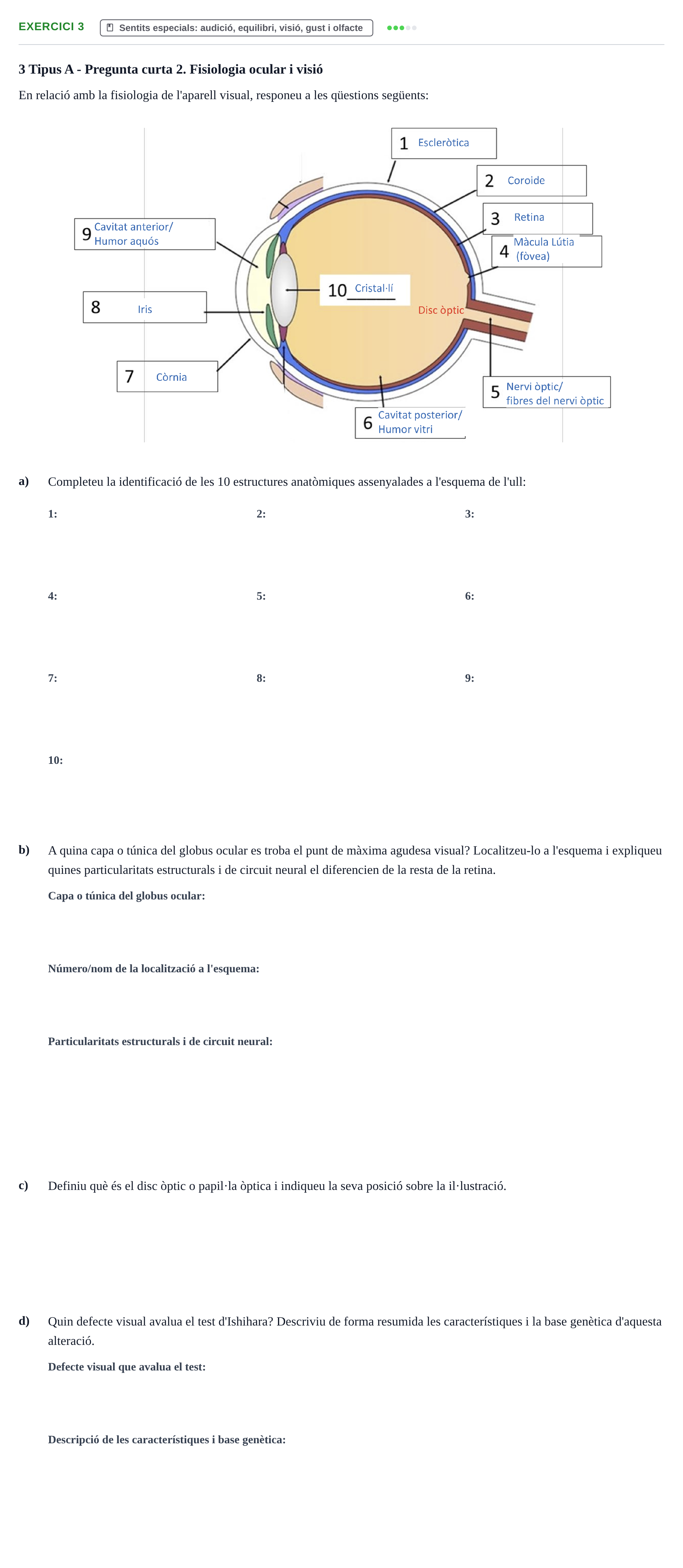 Enunciado: Problema 3 · Fisiología y Fisiopatología I UB 2016