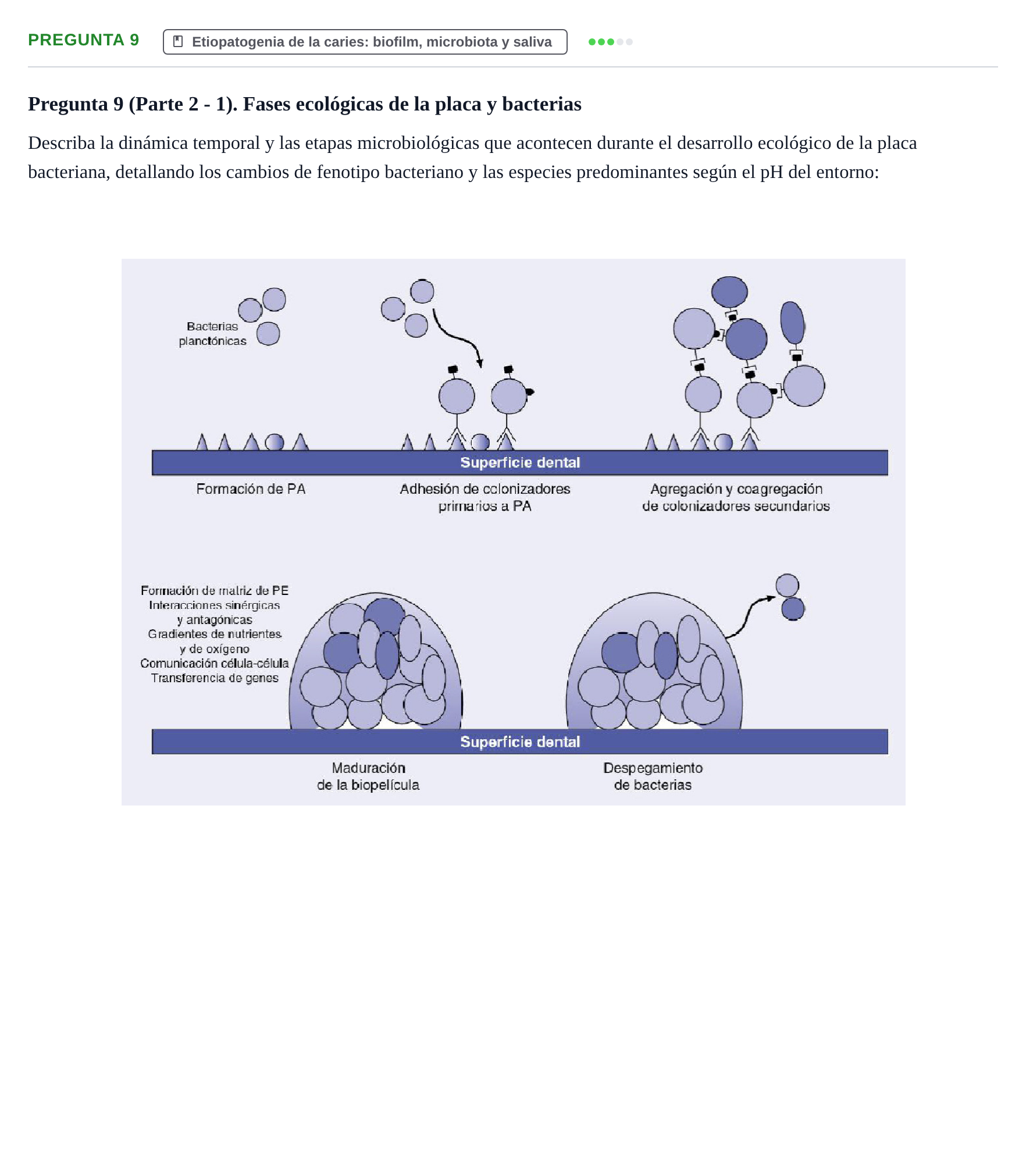 Enunciado: Pregunta 9 · Odontología Preventiva y Comunitaria UB 2015