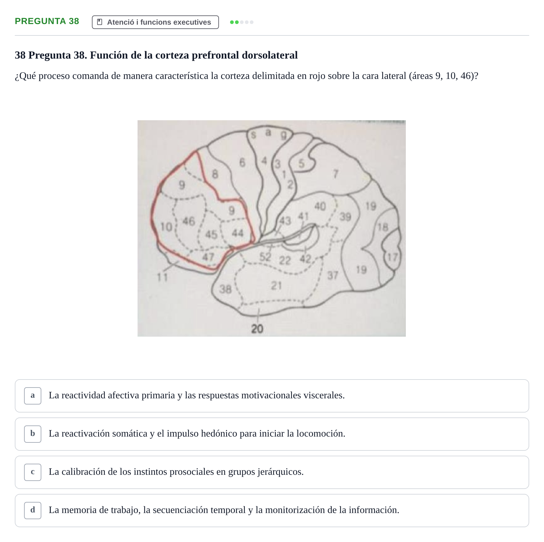 Enunciado: Pregunta 38 · Psicobiología UB Examen Segon Parcial de Psicobiología