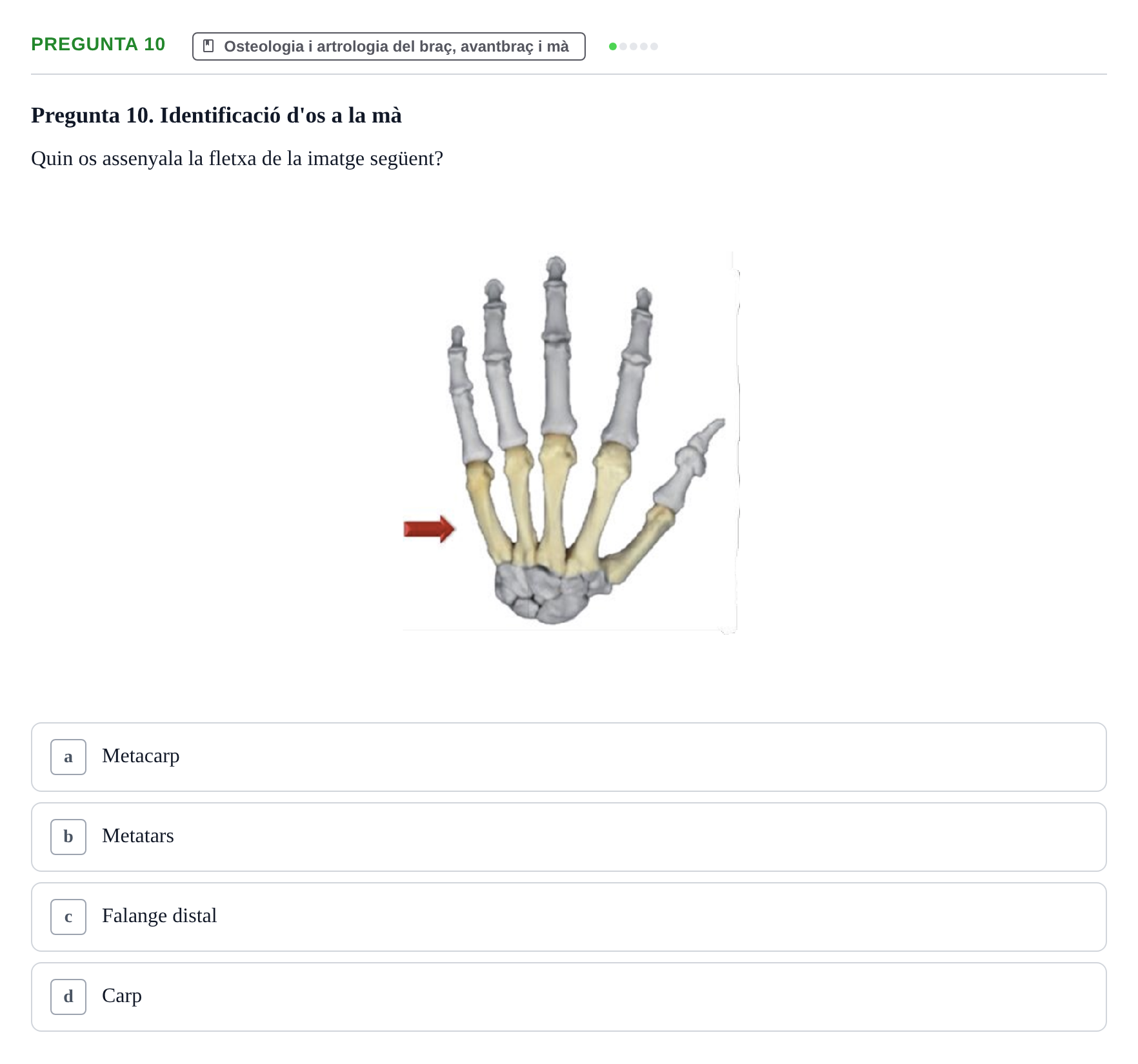 Enunciado: Pregunta 10 · Anatomía I UAB 2023
