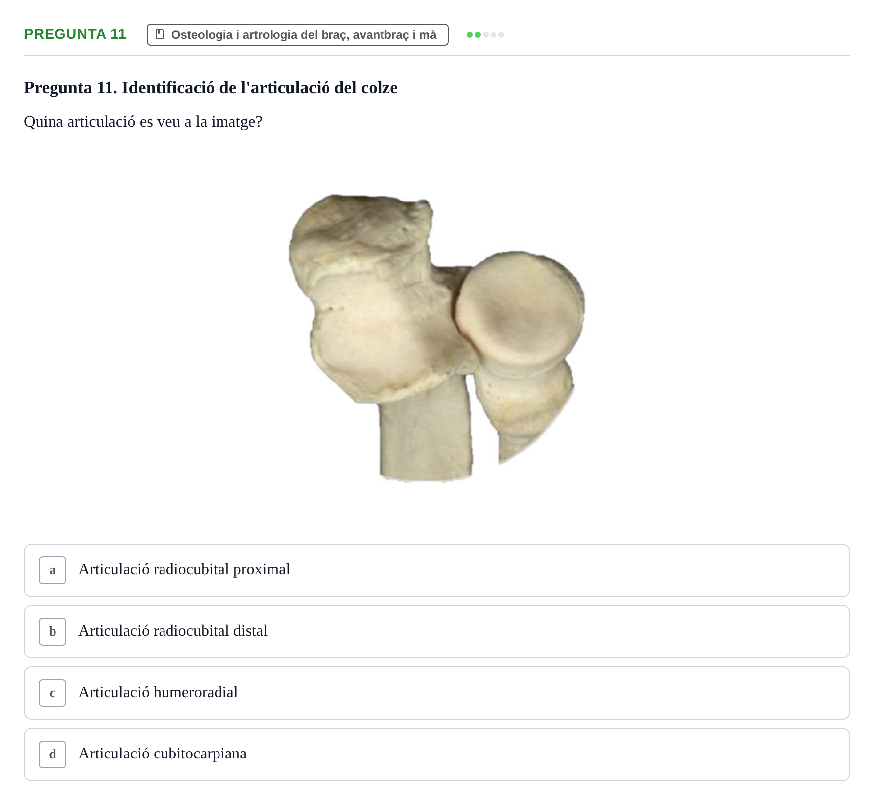 Enunciado: Pregunta 11 · Anatomía I UAB 2023