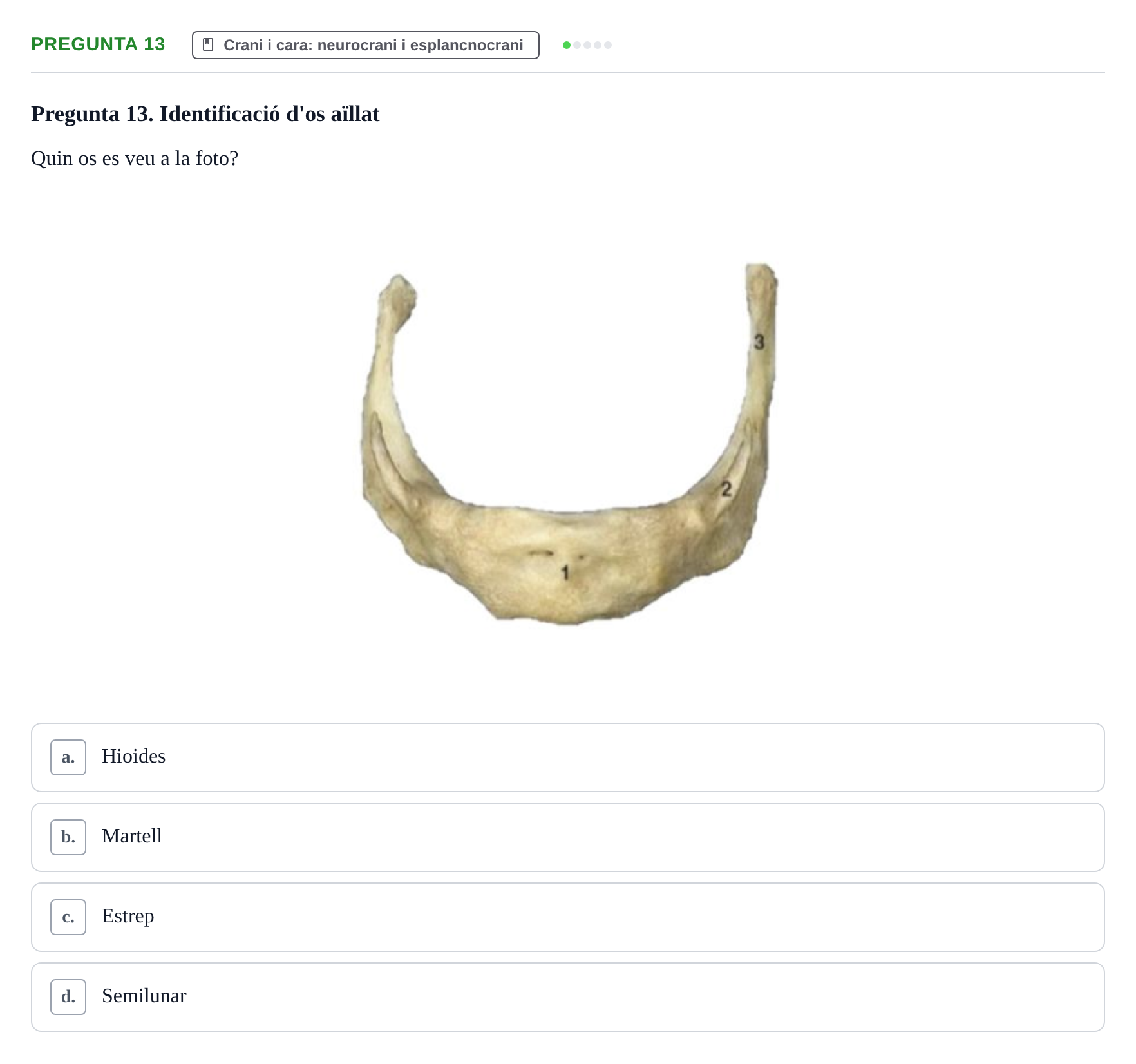 Enunciado: Pregunta 13 · Anatomía I UAB 2023