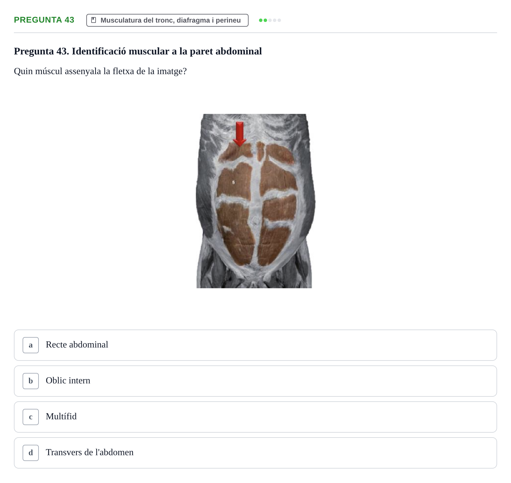 Enunciado: Pregunta 43 · Anatomía I UAB 2023