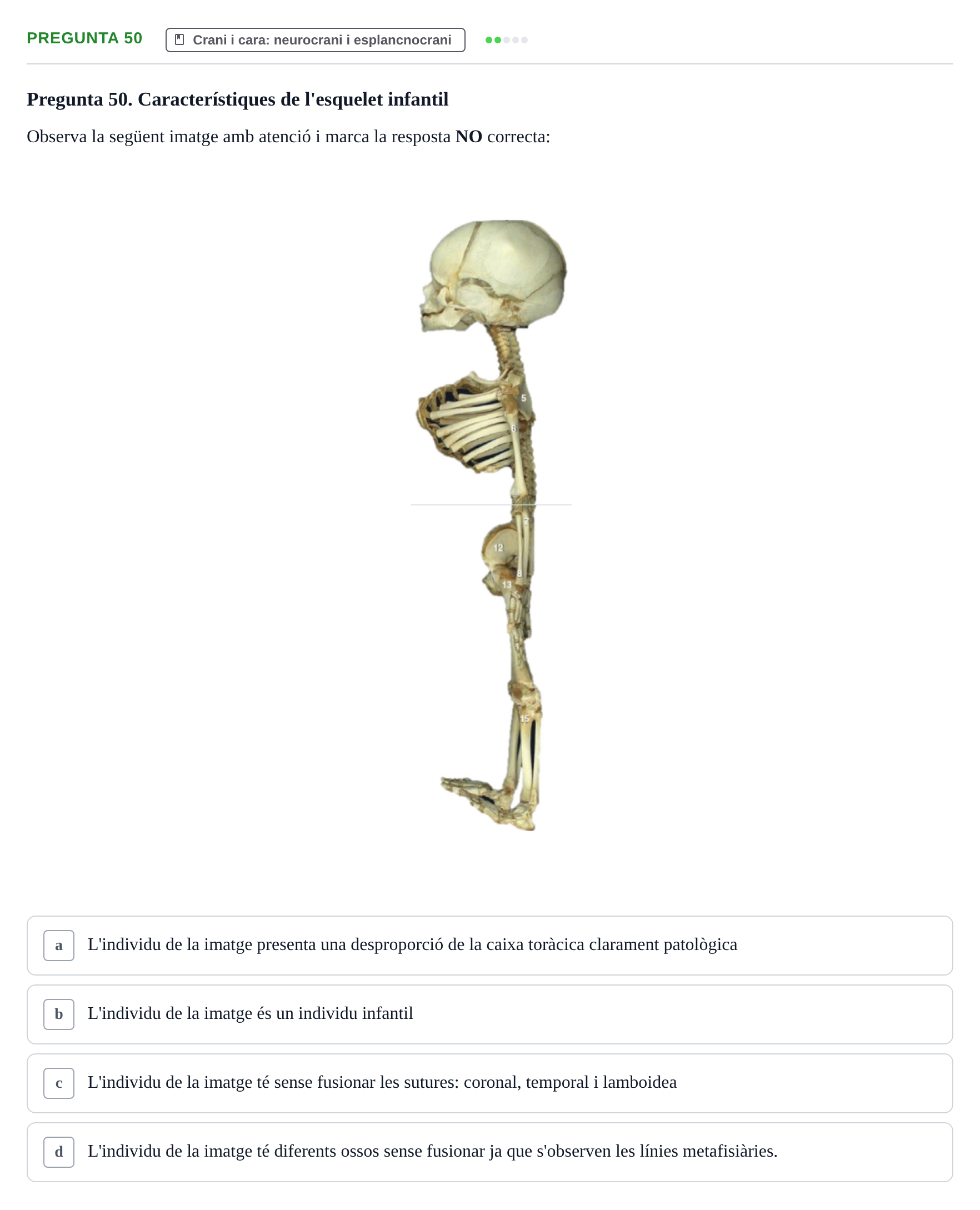 Enunciado: Pregunta 50 · Anatomía I UAB 2023