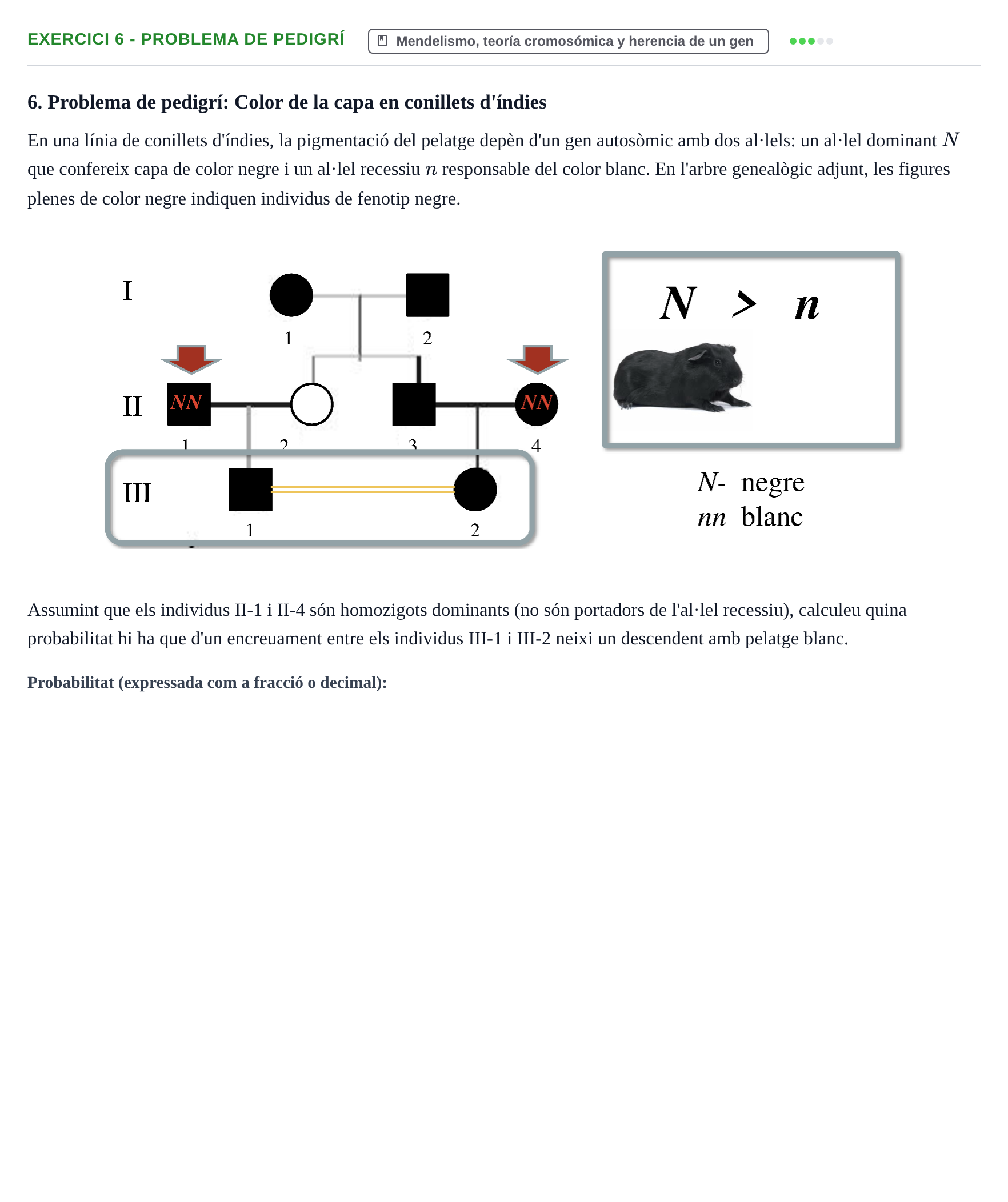 Enunciado: 6 - Problema de pedigrí