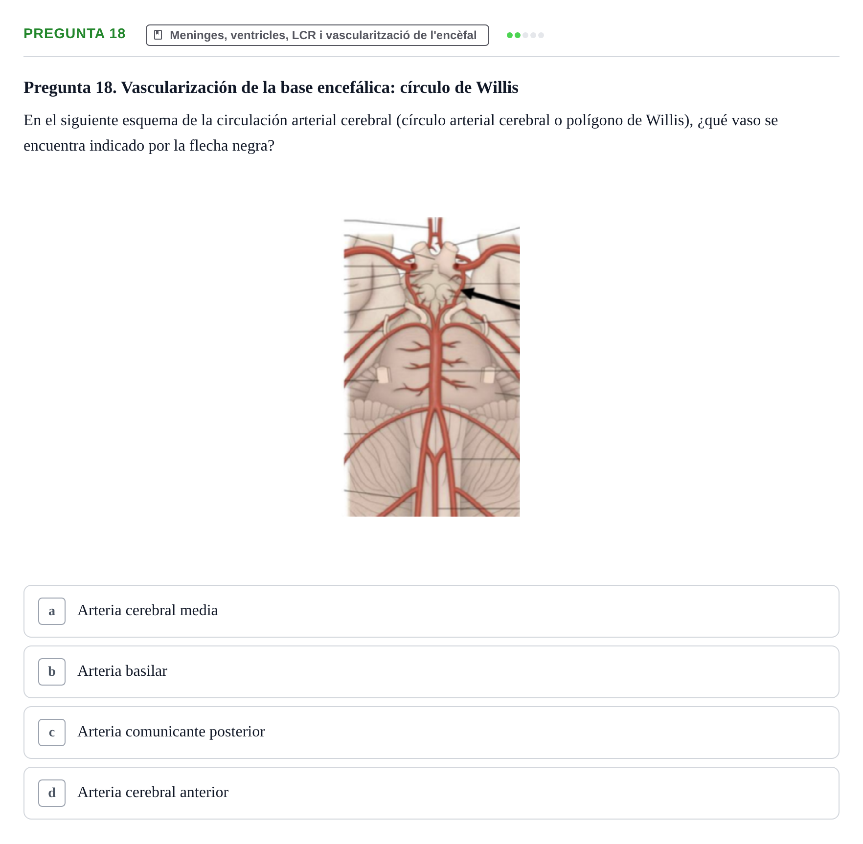 Enunciado: Pregunta 18 · Anatomía II UAB 2024