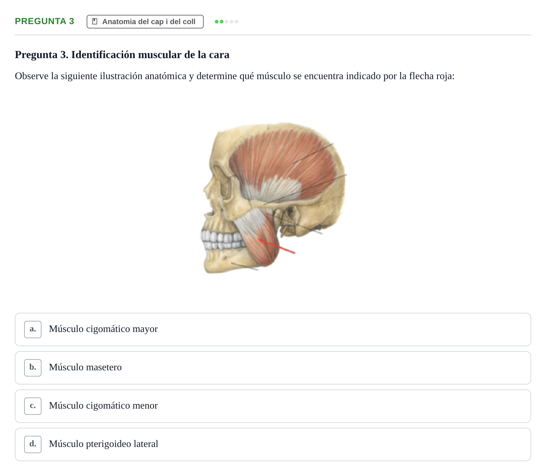 Enunciado: Pregunta 3 · Anatomía II UAB 2024