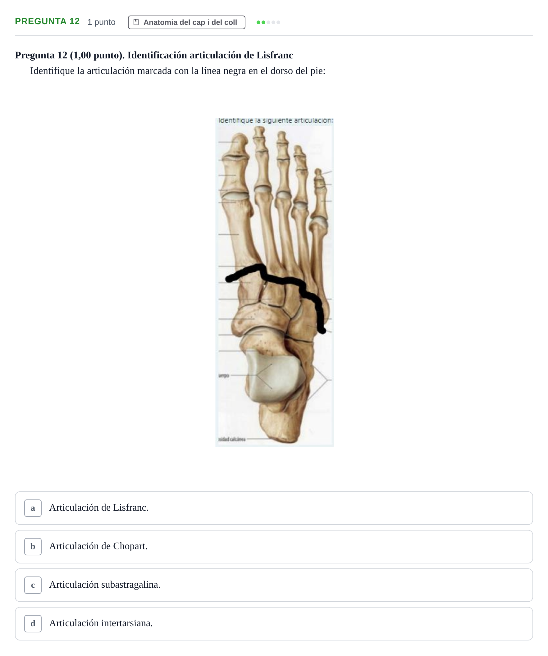 Enunciado: Pregunta 12 · Anatomía II UAB 2023