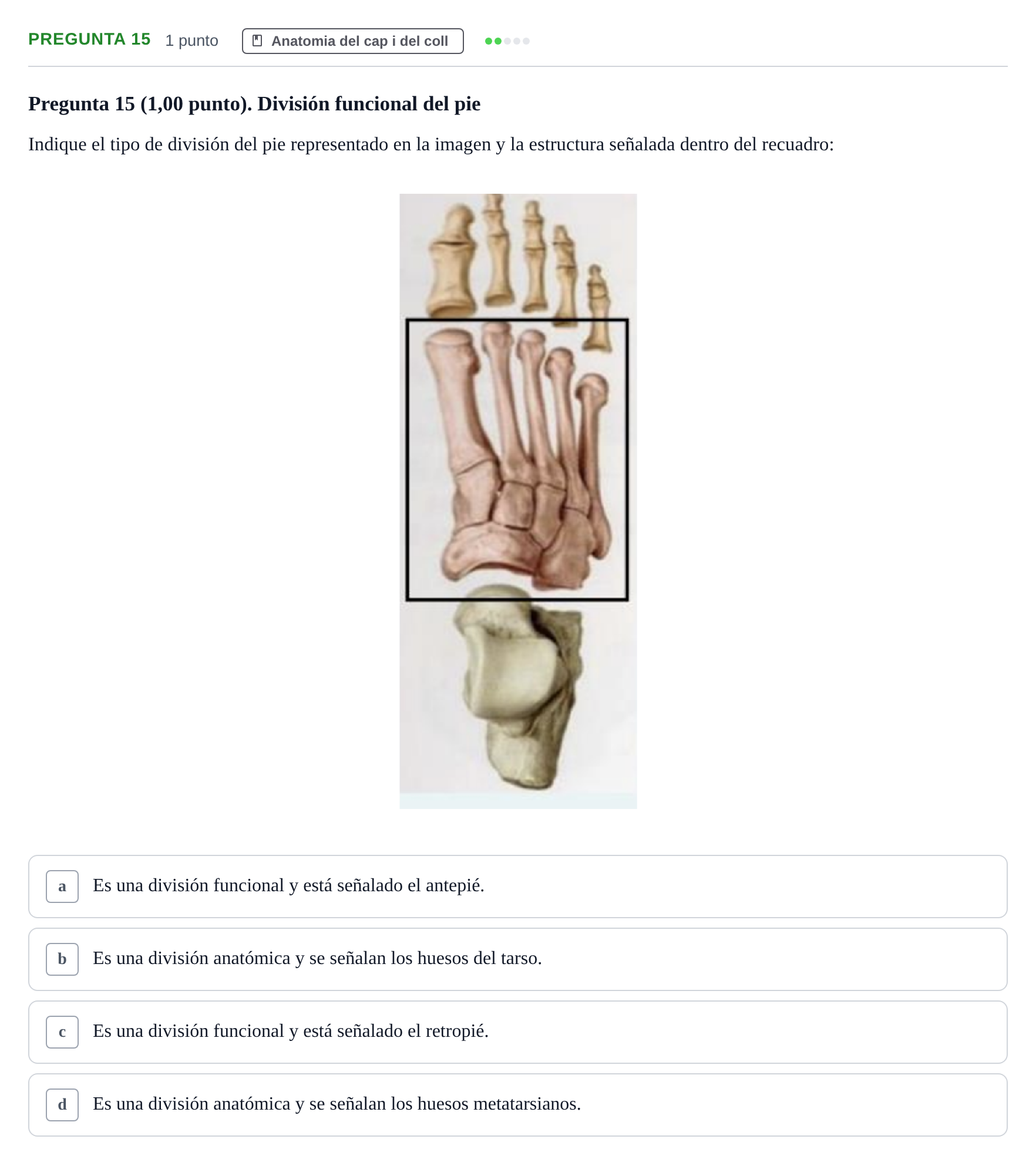 Enunciado: Pregunta 15 · Anatomía II UAB 2023