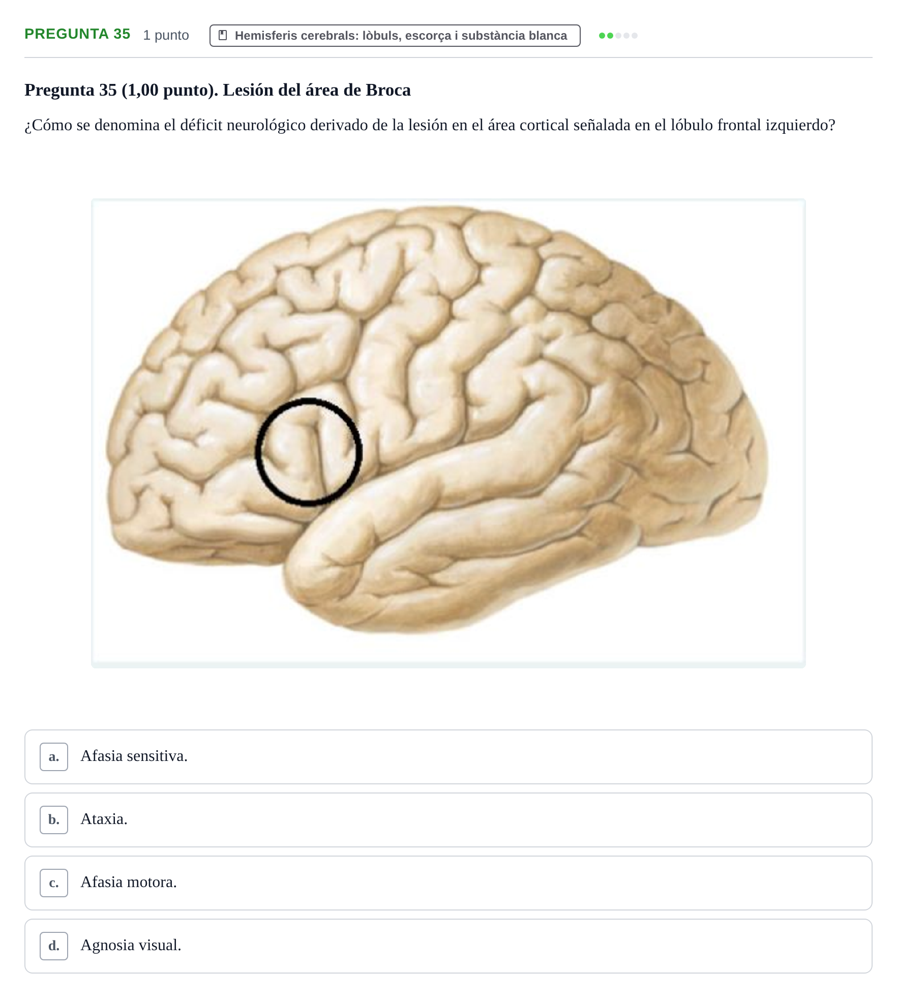 Enunciado: Pregunta 35 · Anatomía II UAB 2023