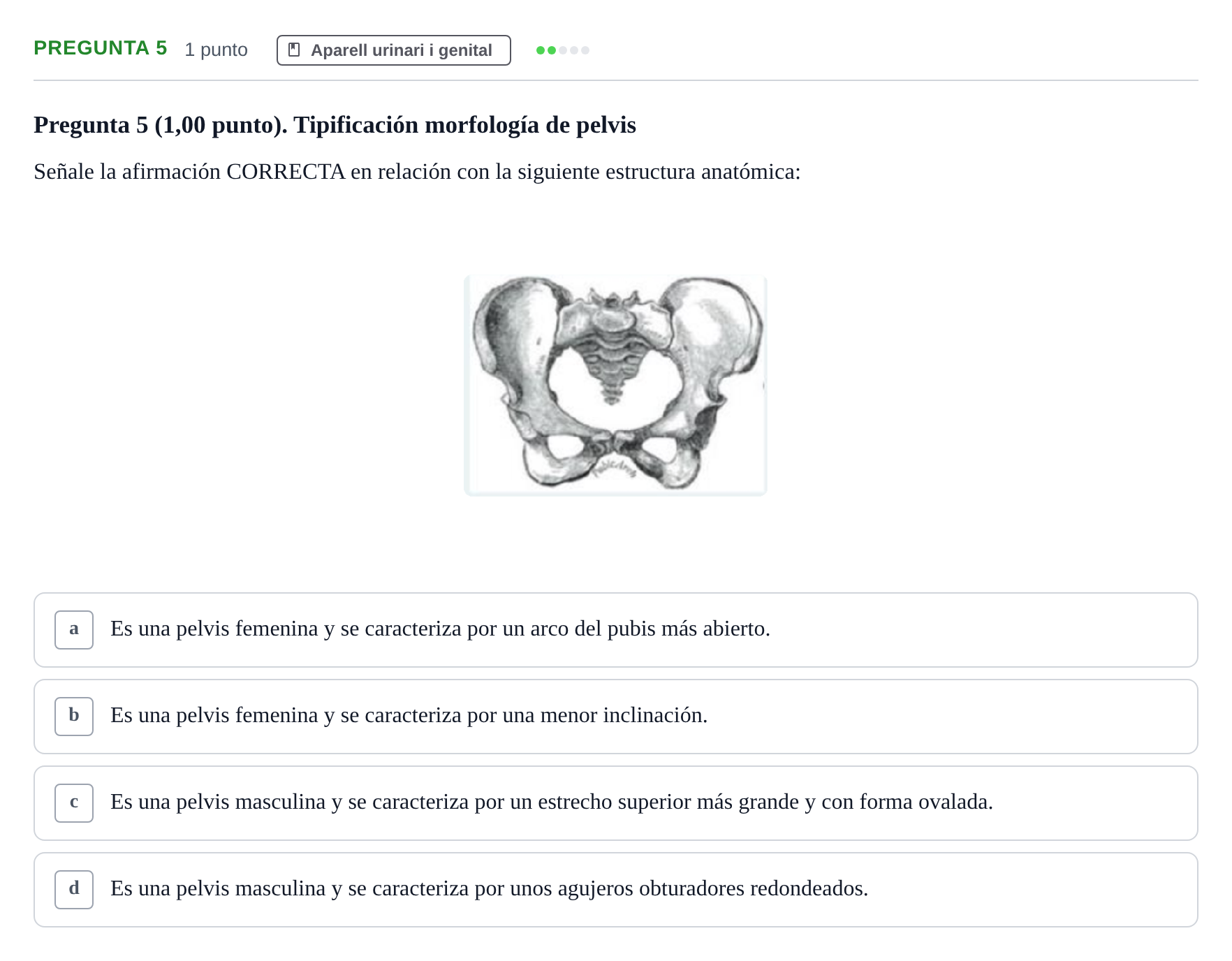 Enunciado: Pregunta 5 · Anatomía II UAB 2023
