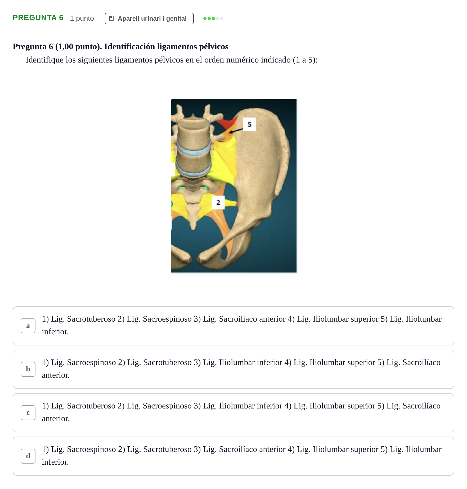 Enunciado: Pregunta 6 · Anatomía II UAB 2023
