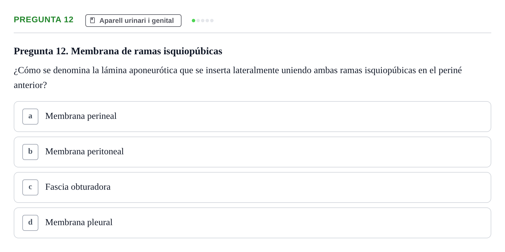 Enunciado: Pregunta 12 · Anatomía II UAB Examen de Anatomía II: Neuroanatomía y Miembro Inferior