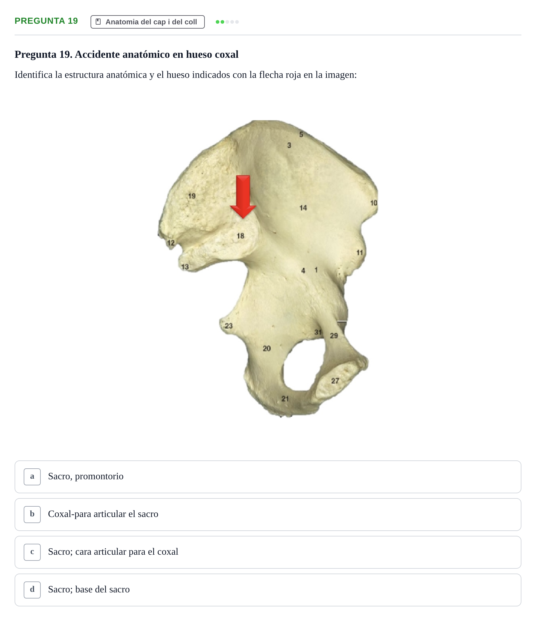 Enunciado: Pregunta 19 · Anatomía II UAB Examen de Anatomía II: Neuroanatomía y Miembro Inferior