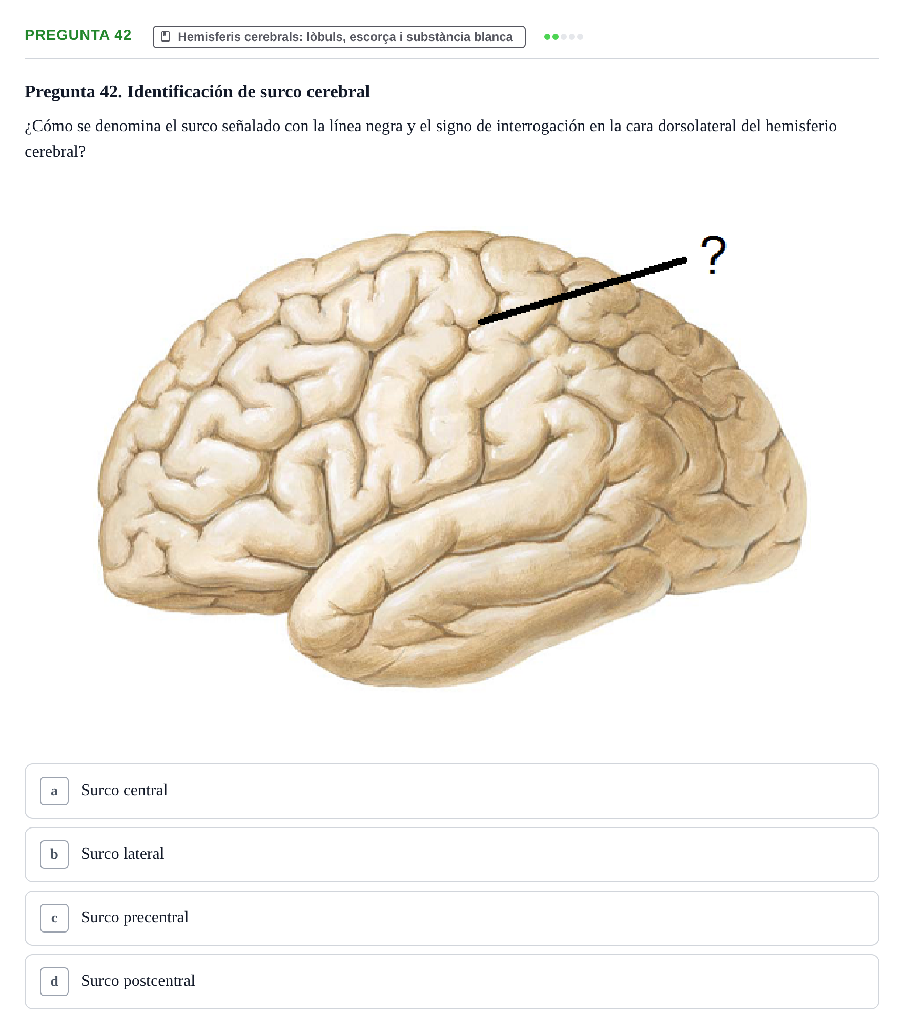 Enunciado: Pregunta 42 · Anatomía II UAB Examen de Anatomía II: Neuroanatomía y Miembro Inferior