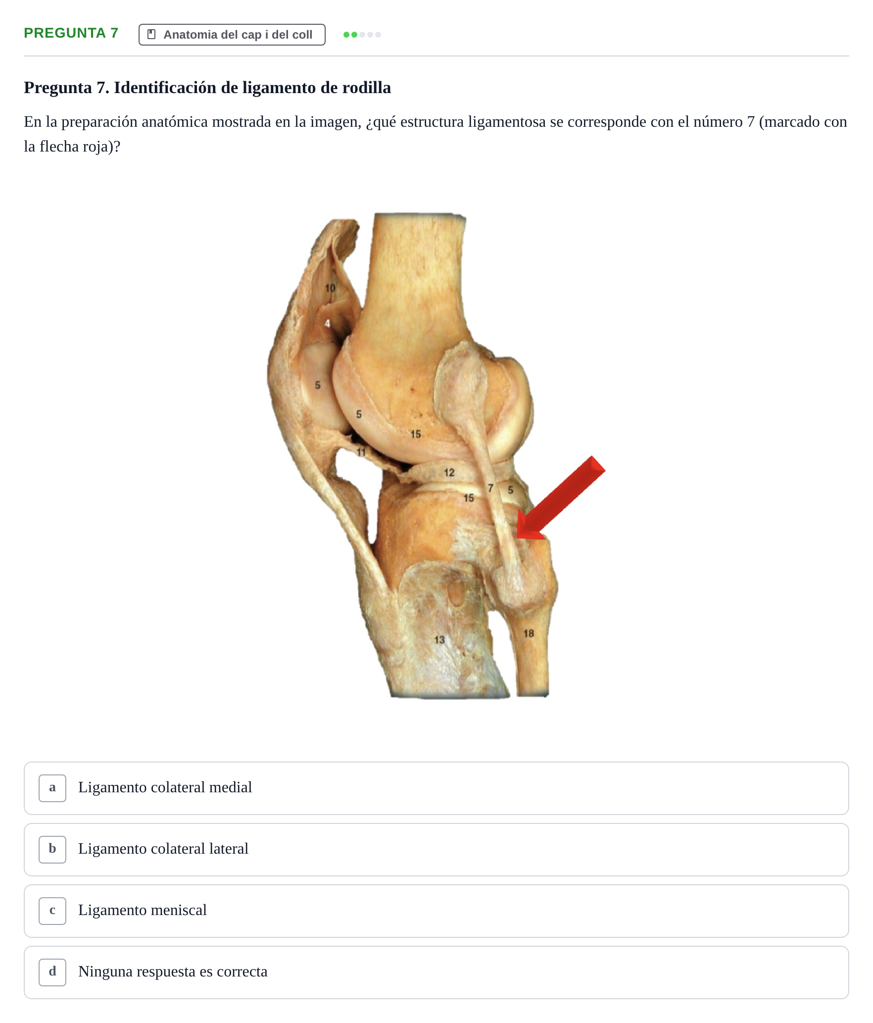 Enunciado: Pregunta 7 · Anatomía II UAB Examen de Anatomía II: Neuroanatomía y Miembro Inferior