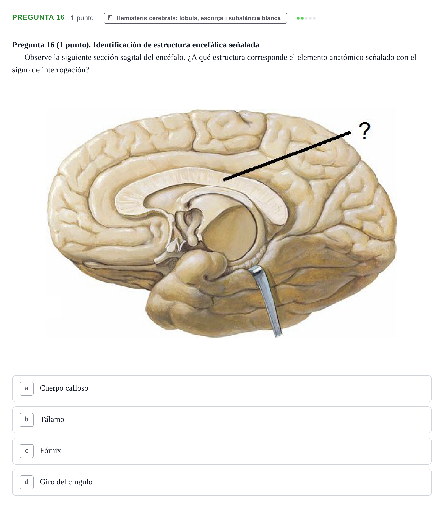 Enunciado: Pregunta 16 · Anatomía II UAB 2022