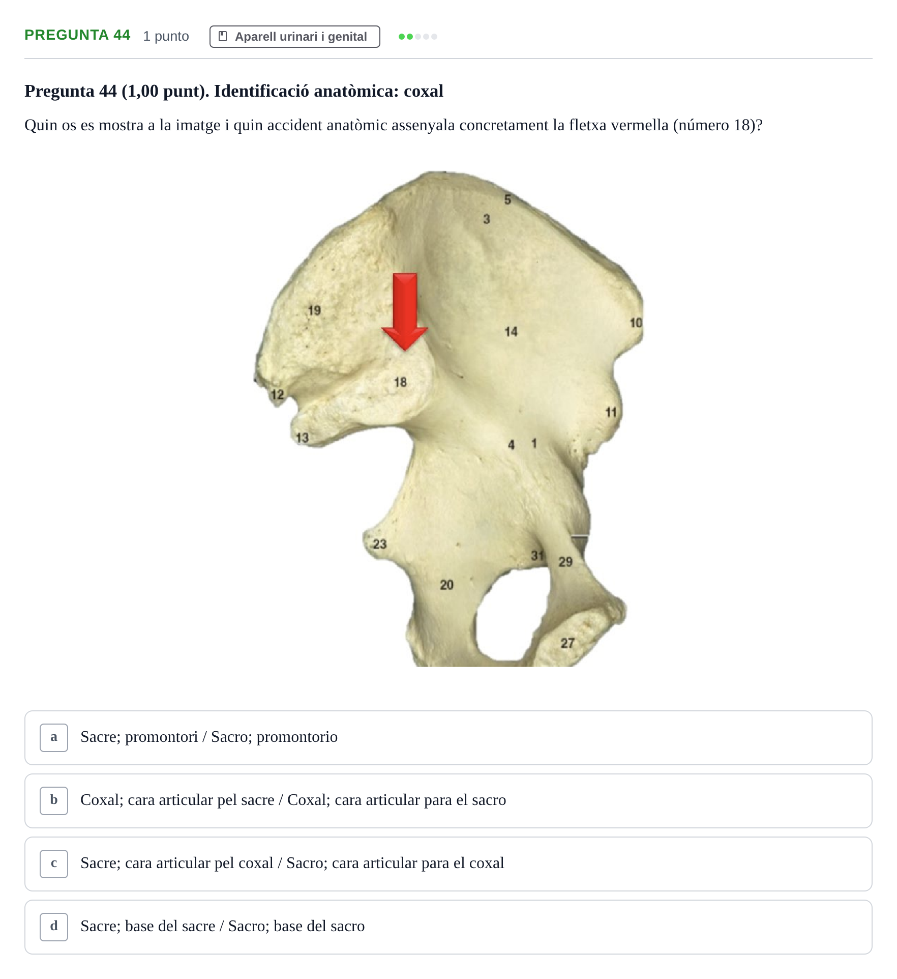 Enunciado: Pregunta 44 · Anatomía II UAB 2022