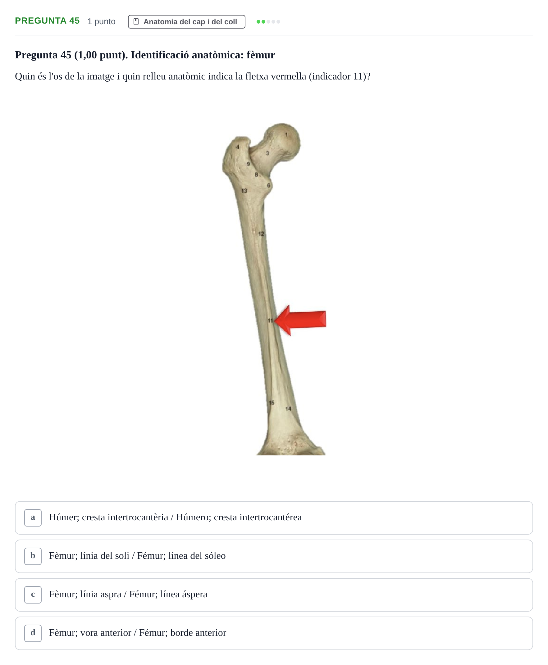 Enunciado: Pregunta 45 · Anatomía II UAB 2022