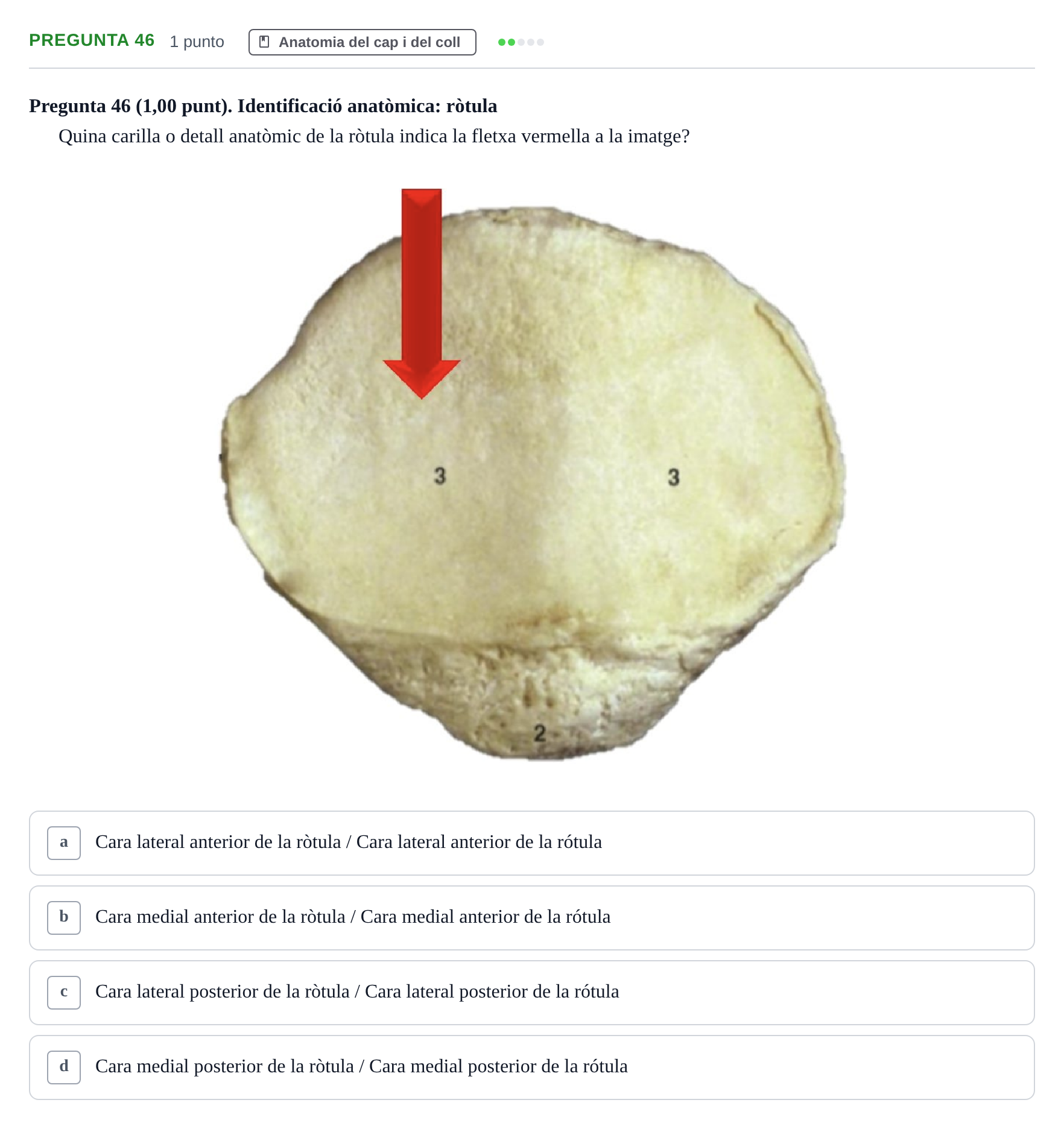 Enunciado: Pregunta 46 · Anatomía II UAB 2022