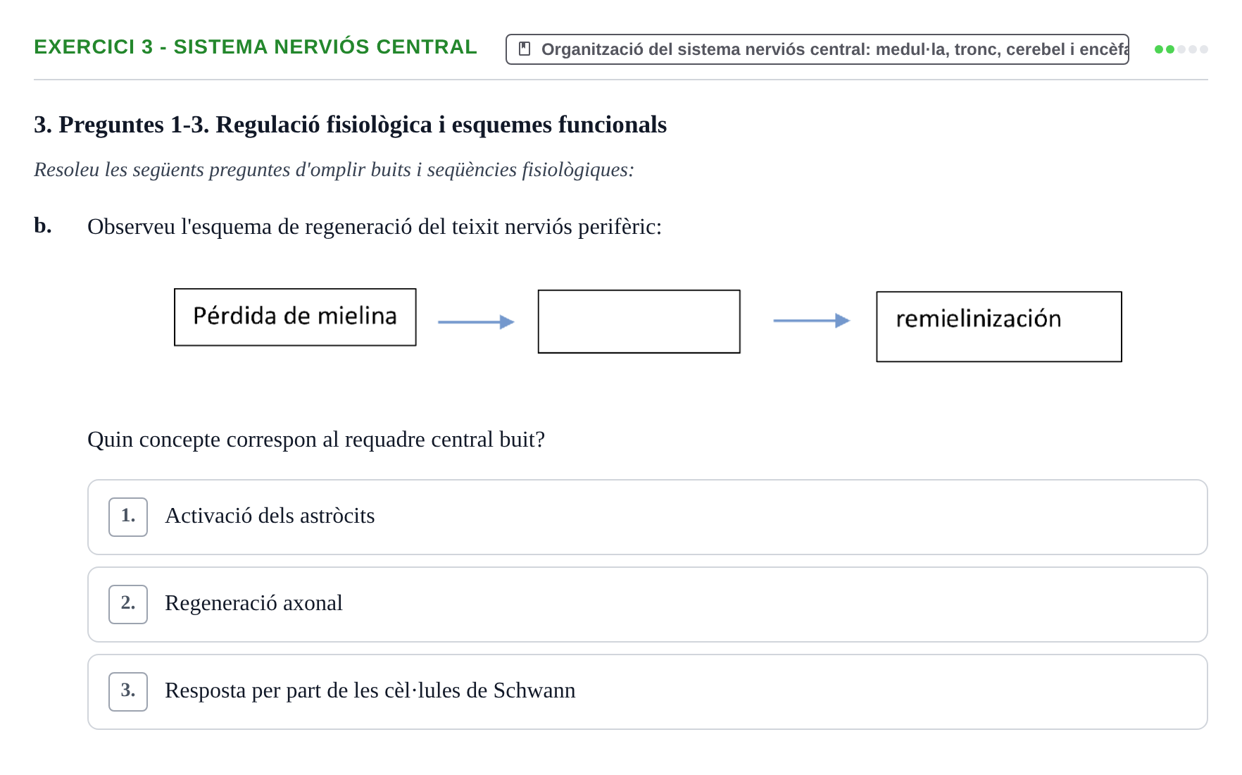 Enunciado: 3 - Sistema nerviós central