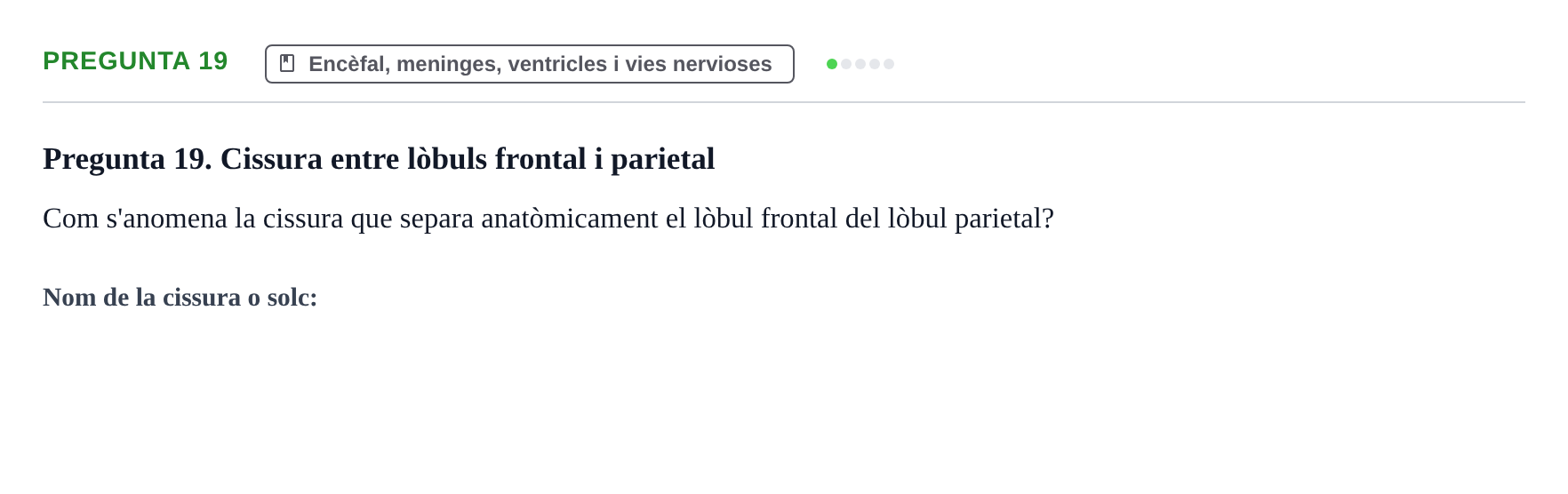 Enunciado: Pregunta 19