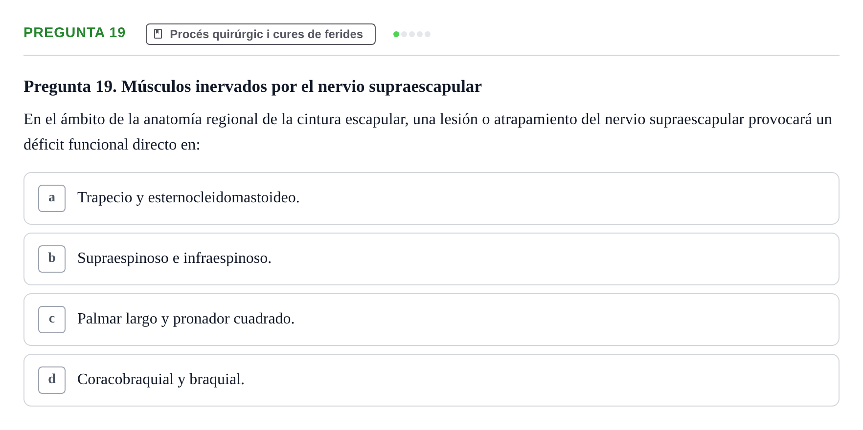 Enunciado: Pregunta 19