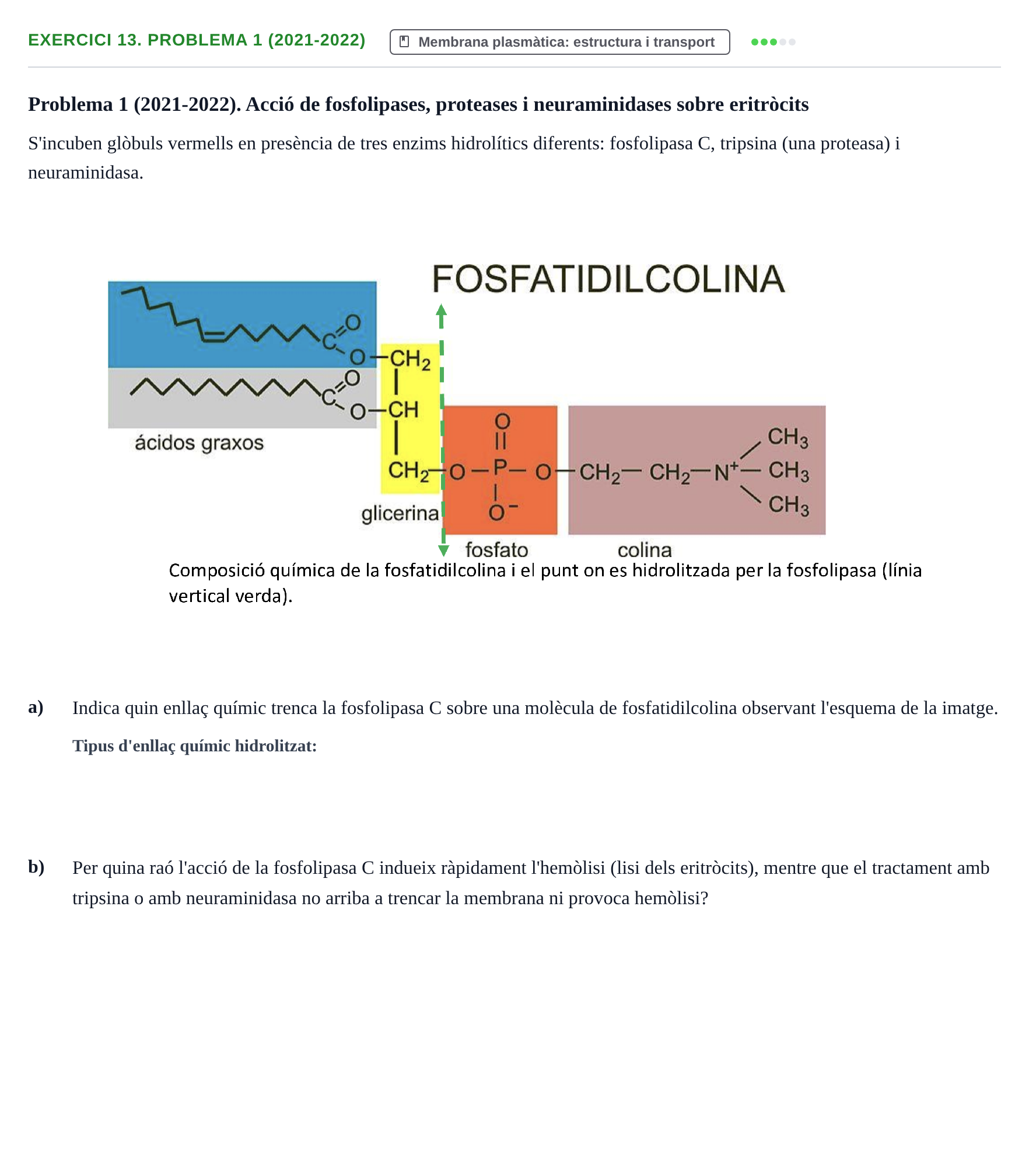 Enunciado: 13. Problema 1 (2021-2022)