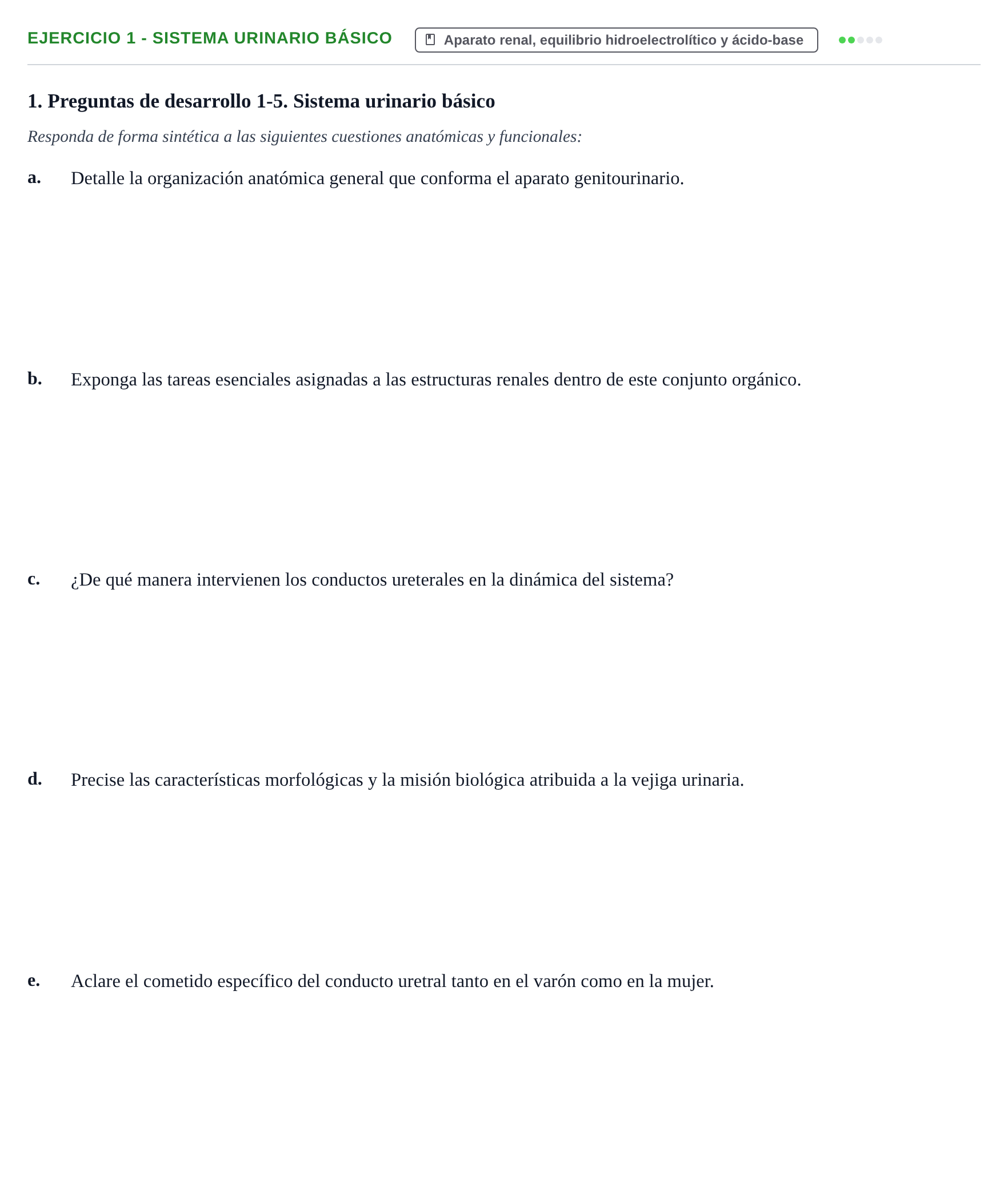 Enunciado: 1 - Sistema urinario básico