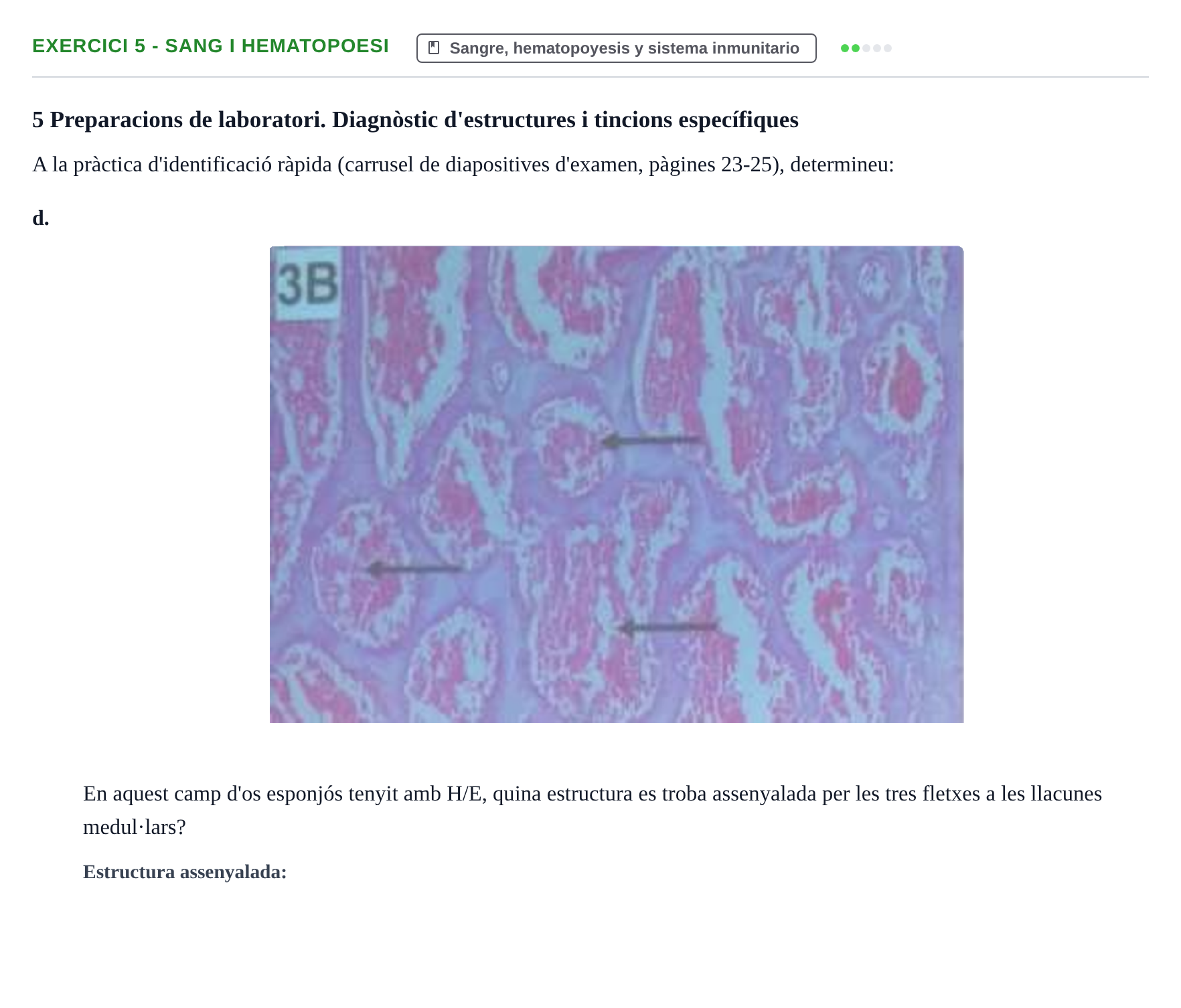 Enunciado: 5 - Sang i hematopoesi