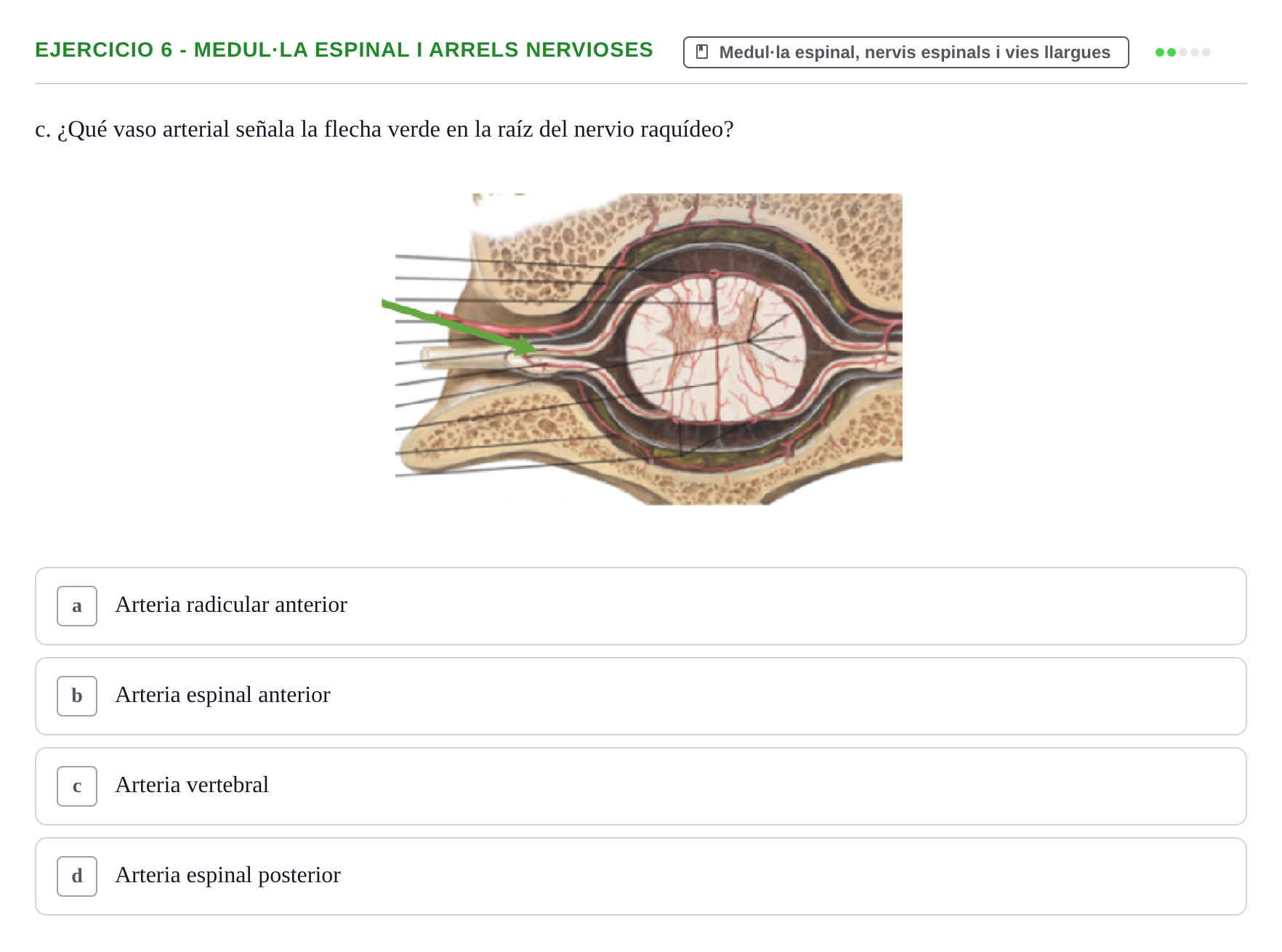Enunciado: 6 - Medul·la espinal i arrels nervioses