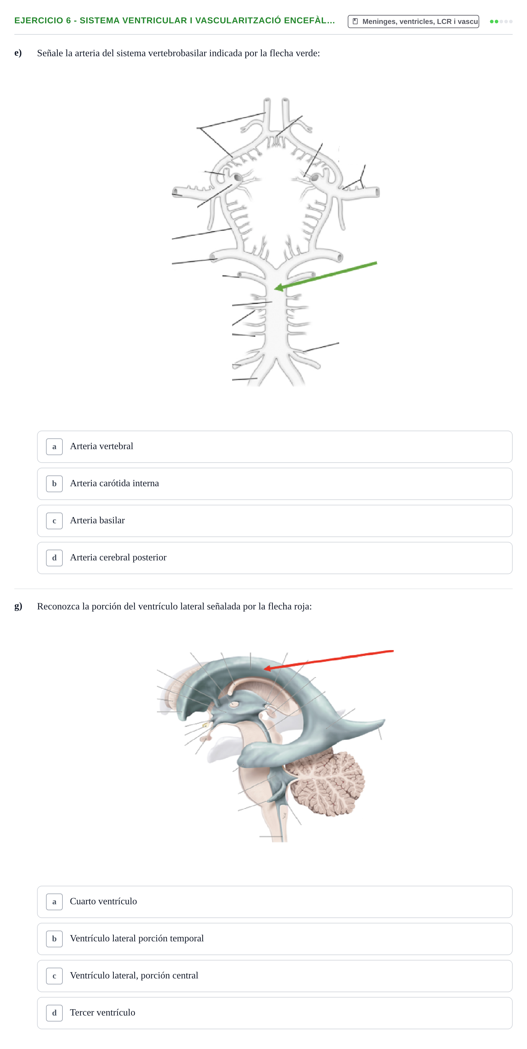 Enunciado: 6 - Sistema ventricular i vascularització encefàl…