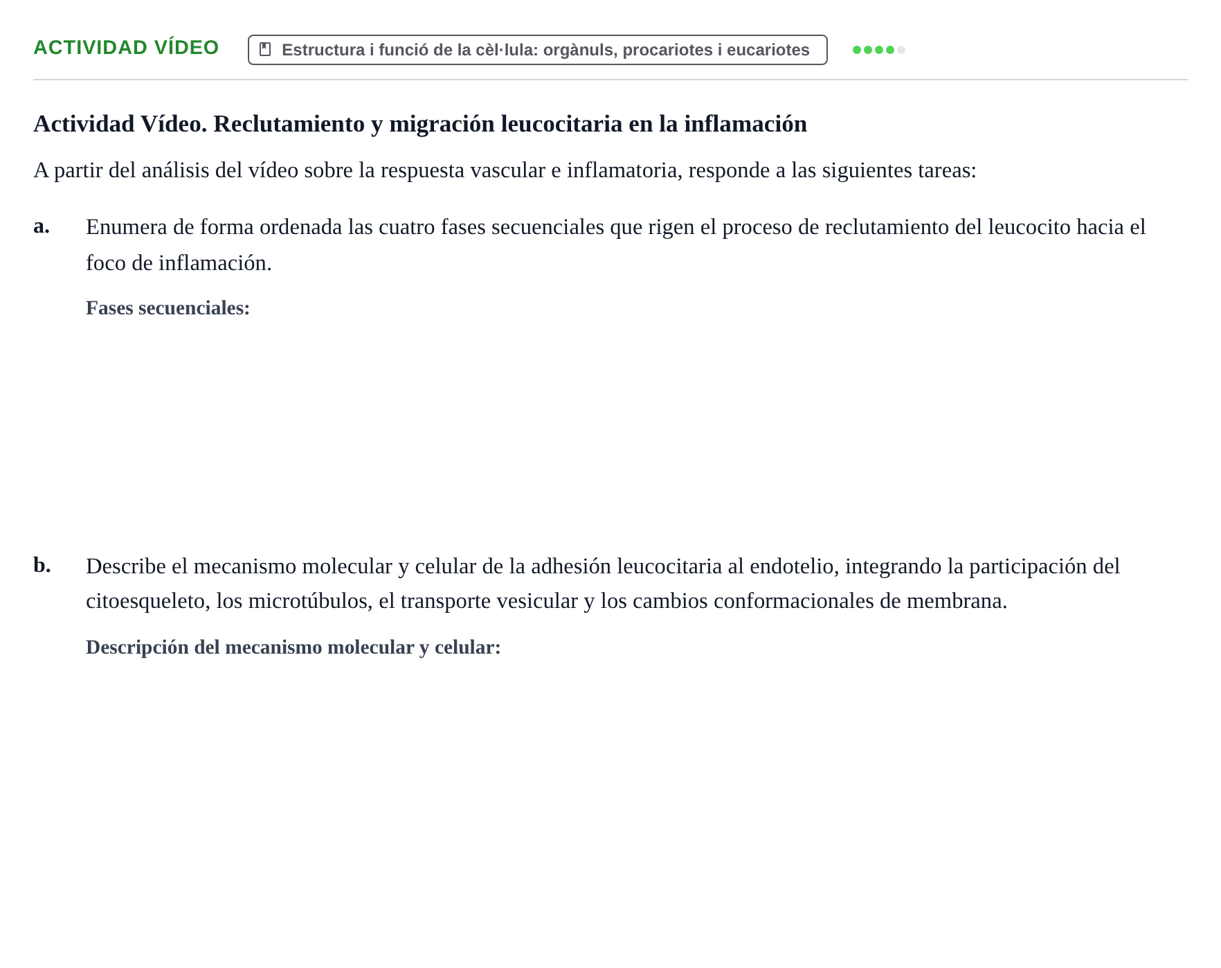 Enunciado: Actividad Vídeo