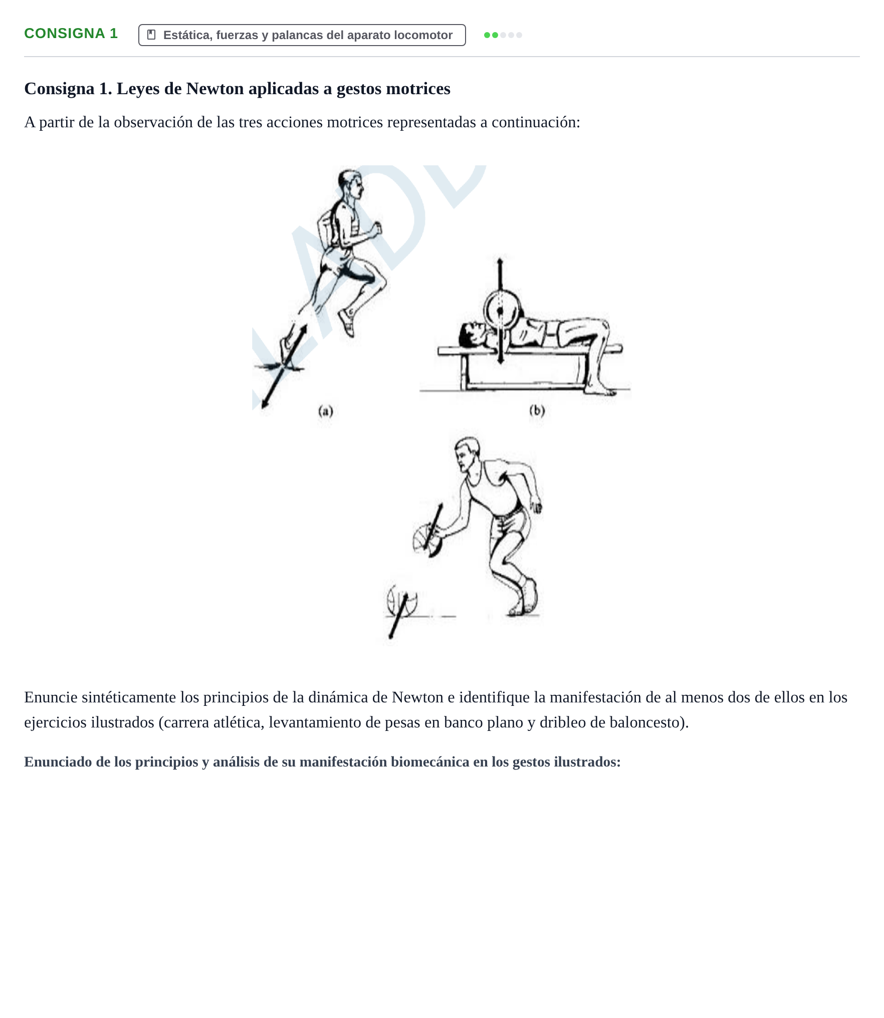 Enunciado: Consigna 1
