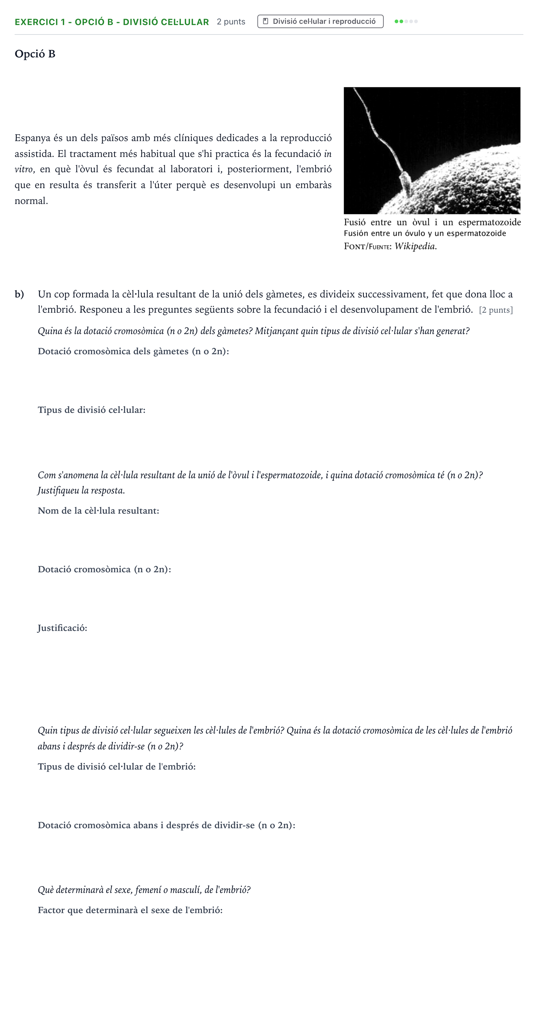Enunciado: Exercici 1 - Opció B - Divisió cel·lular · Biología Majors de 25 anys (Catalunya) Tribunal ordinari Serie 2 2026