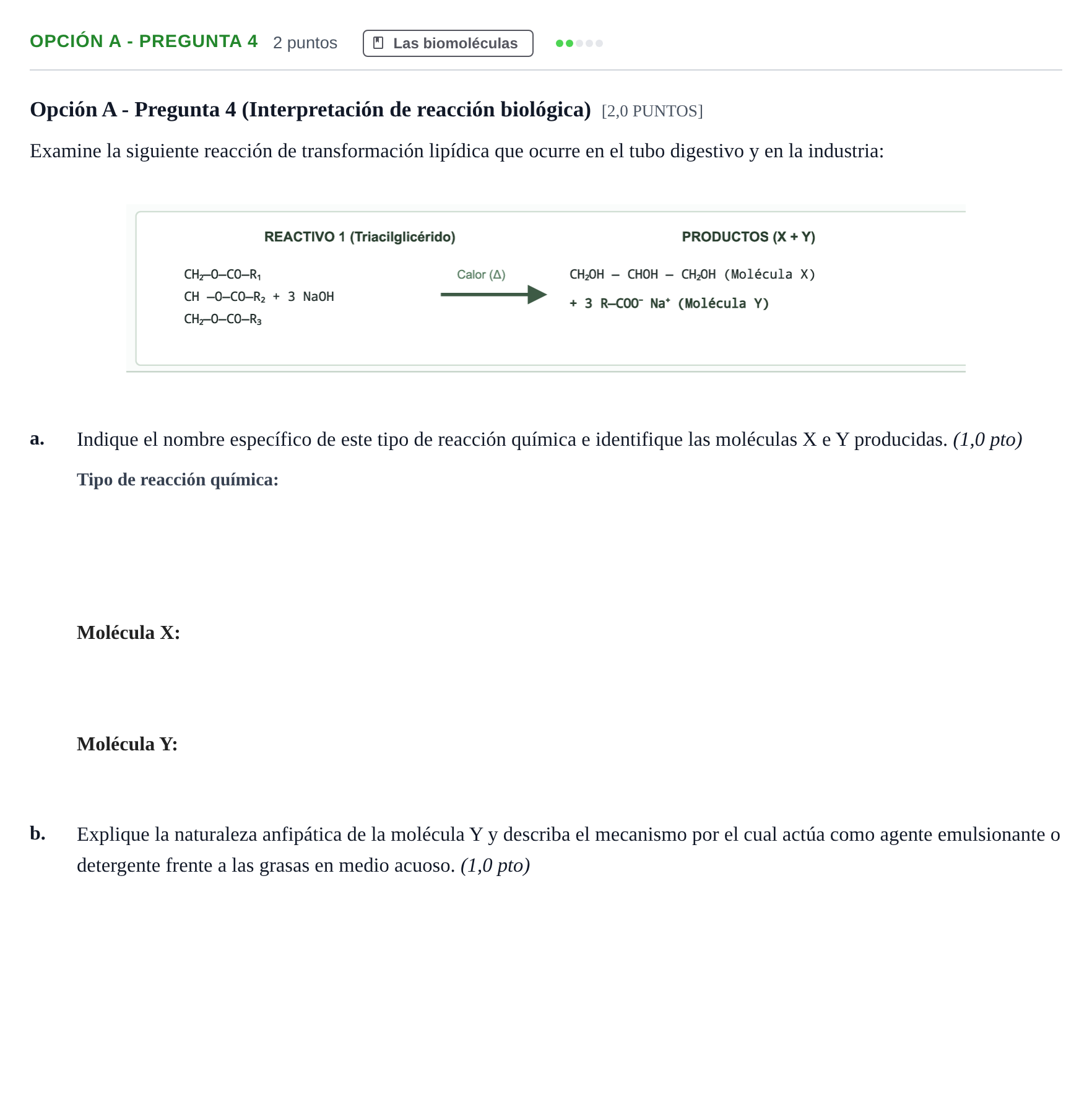 Enunciado: Opción A - Pregunta 4