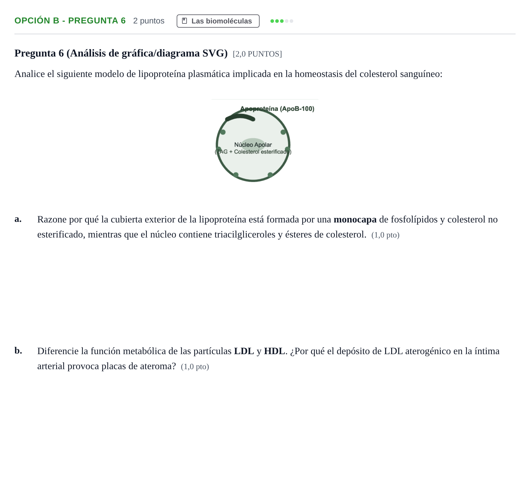 Enunciado: Opción B - Pregunta 6