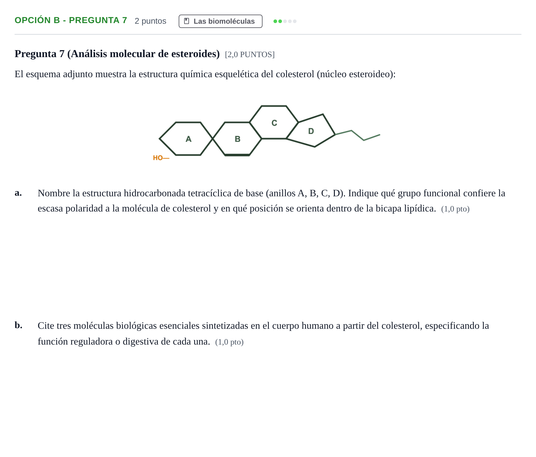 Enunciado: Opción B - Pregunta 7