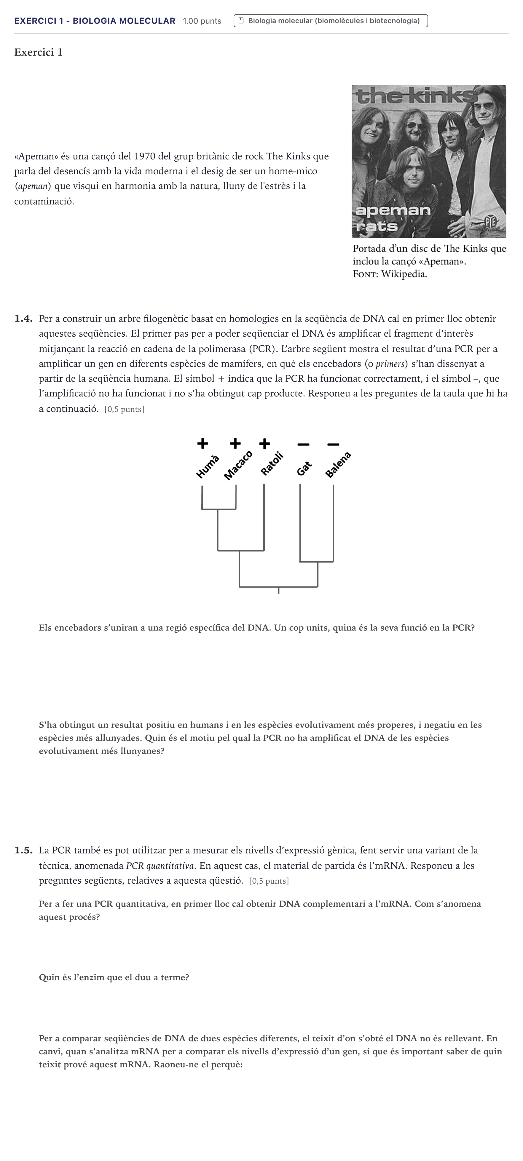 Enunciado: Exercici 1 - Biologia molecular · Biología Selectividad Cataluña Setembre 2026