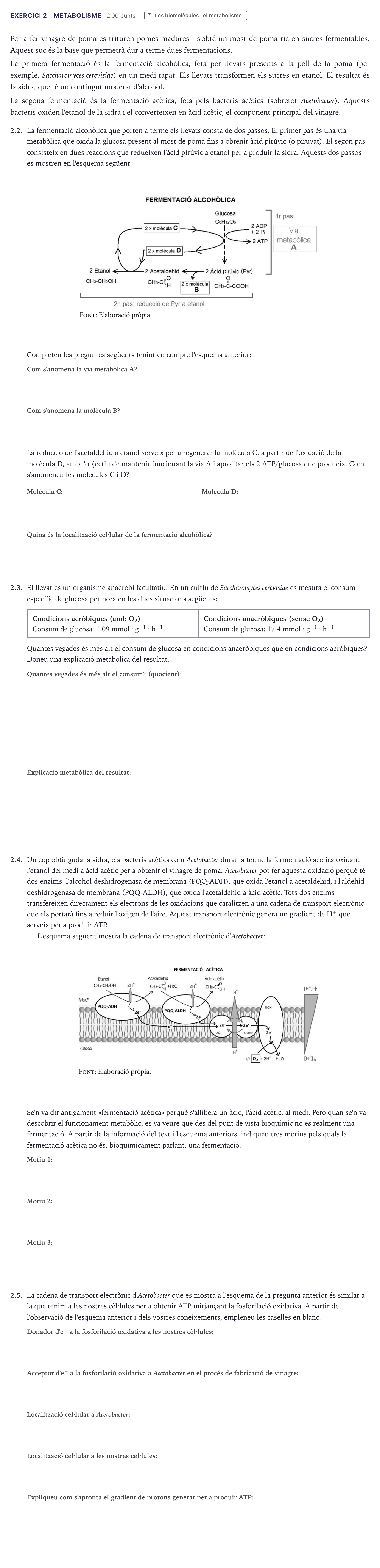 Enunciado: Exercici 2 - Metabolisme · Biología Selectividad Cataluña Setembre 2026
